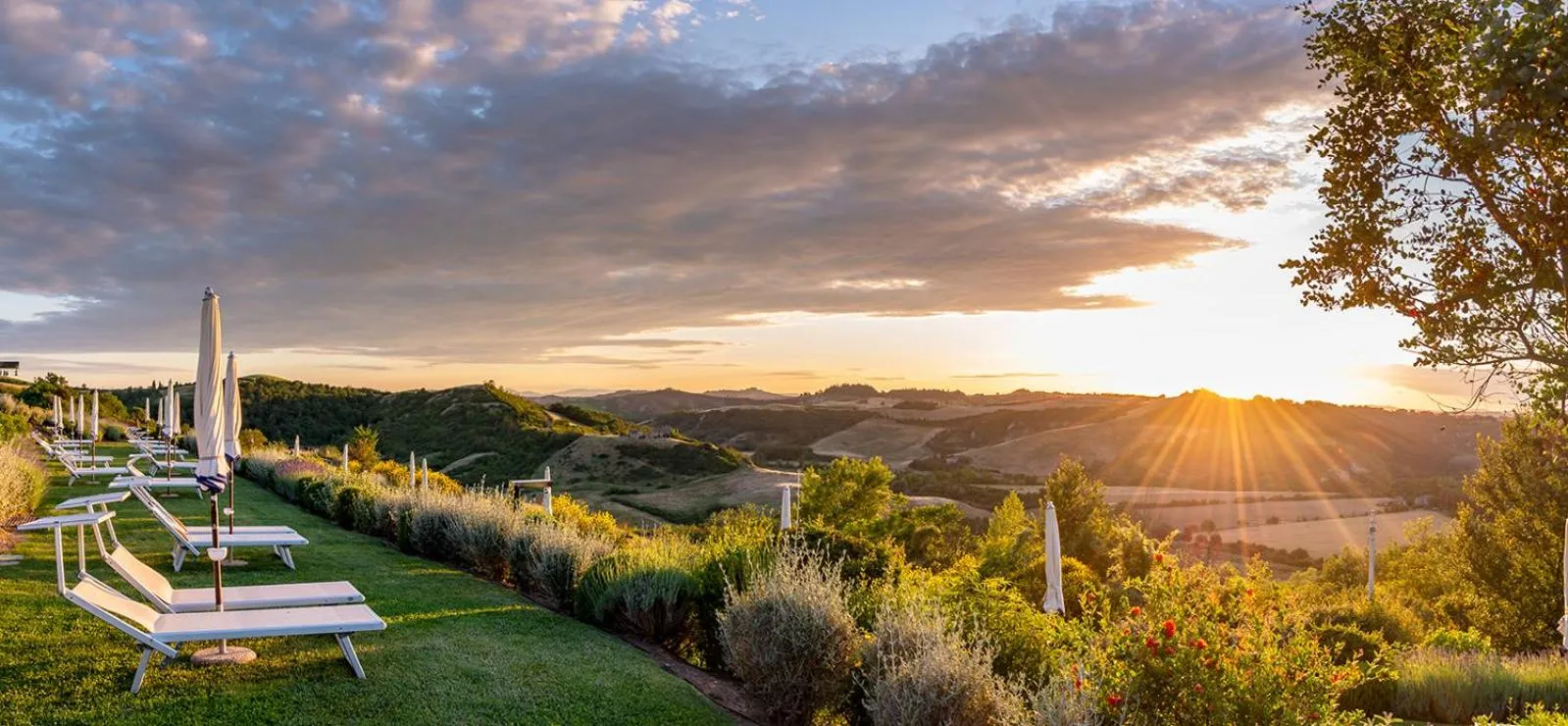 Natural landscape in San Giovanni Terme Rapolano