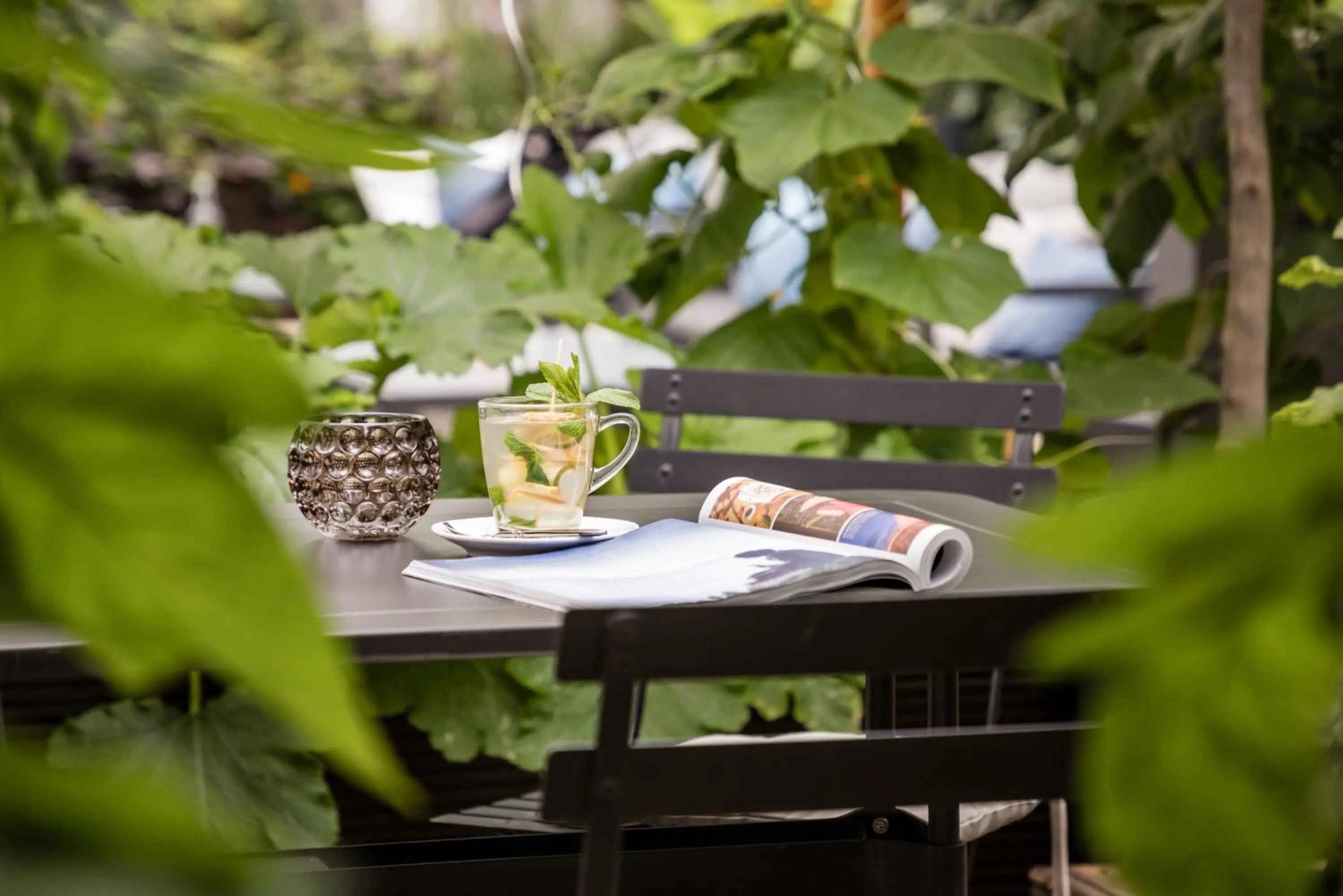 Garden in Hotel AMANO Rooms & Apartments