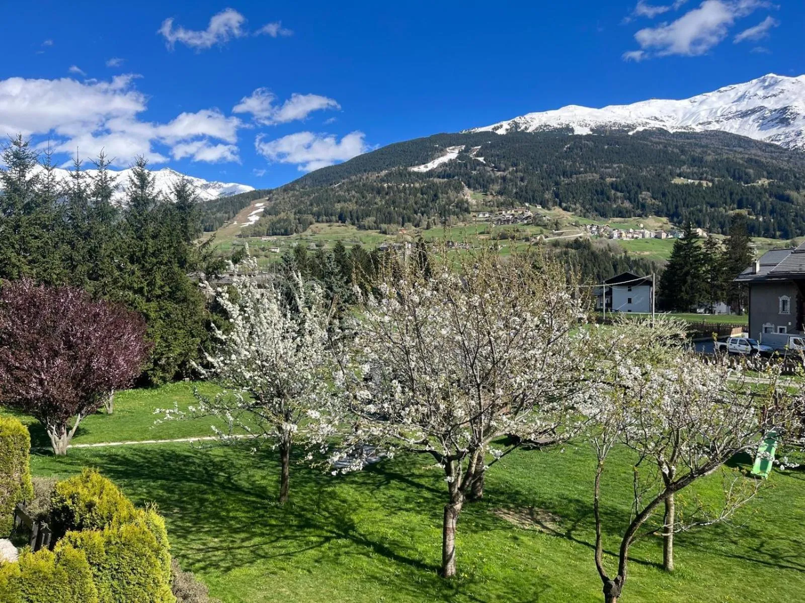 Garden view in Chalet Stelle Di Neve