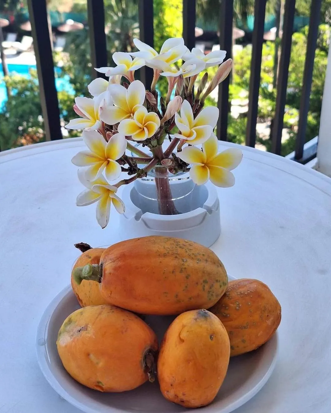 Balcony/Terrace in Veronica Hotel