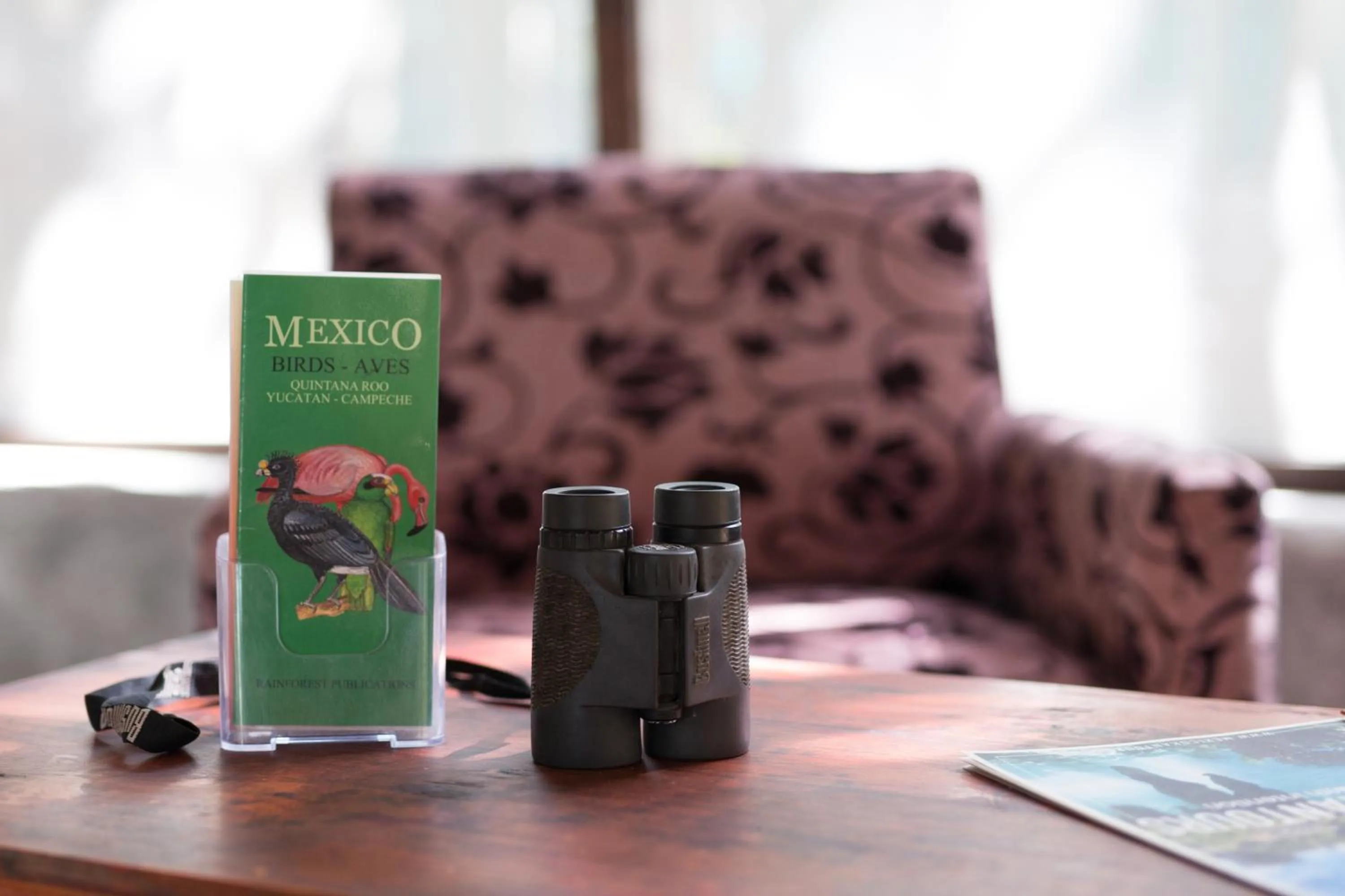 Library in MELI-MELO P&B