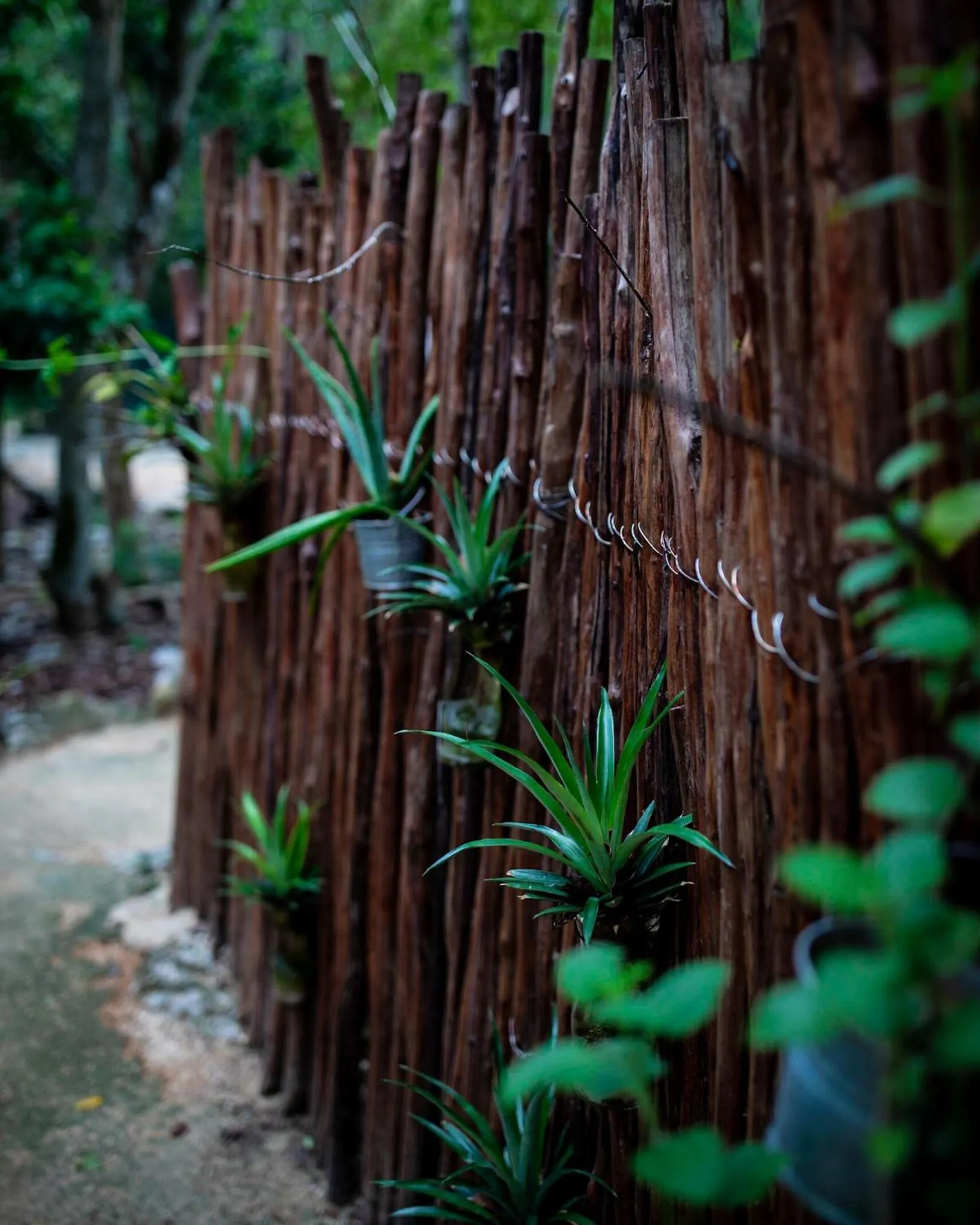 Natural landscape in MELI-MELO P&B