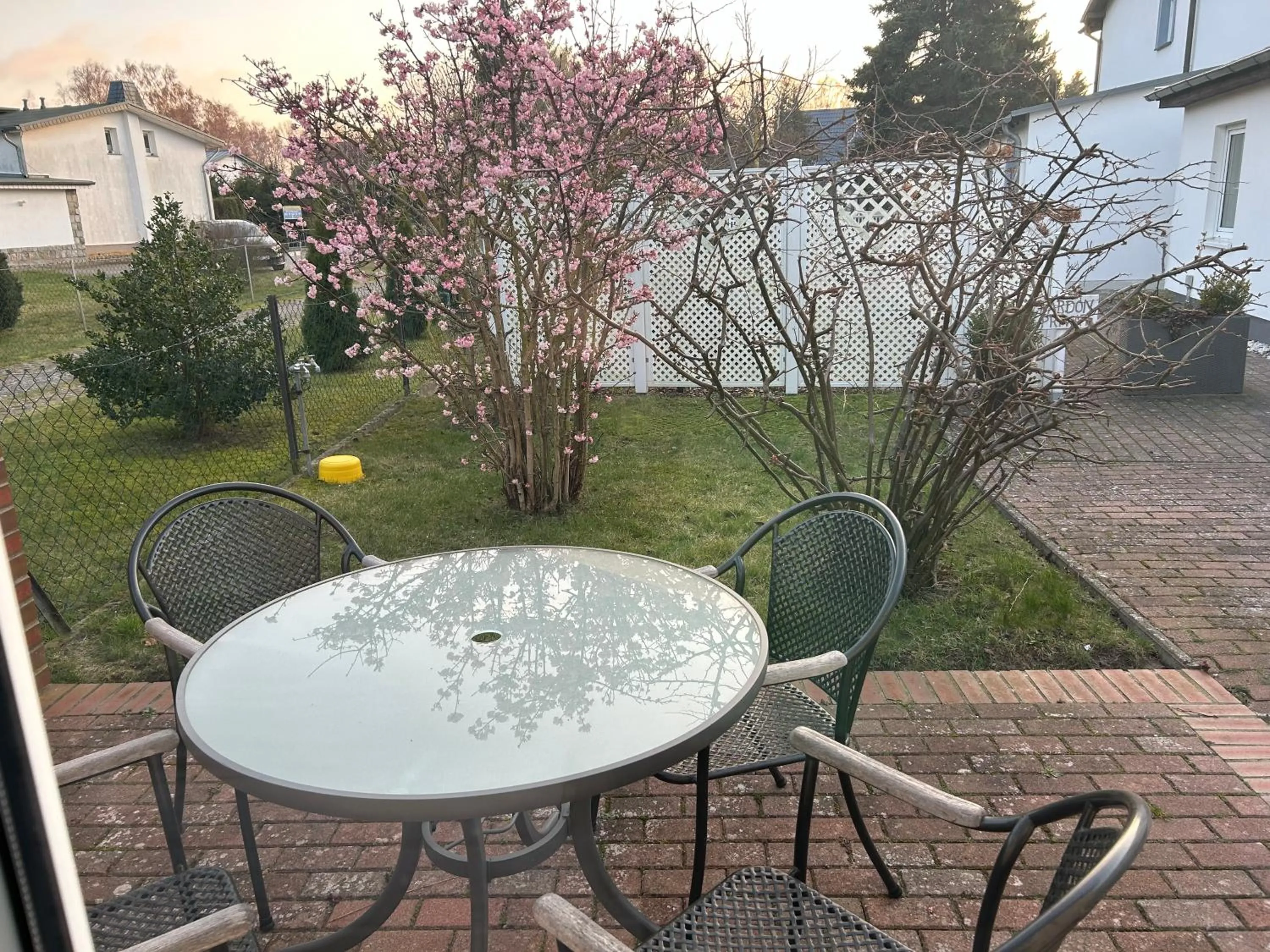 Patio in Strandkojen