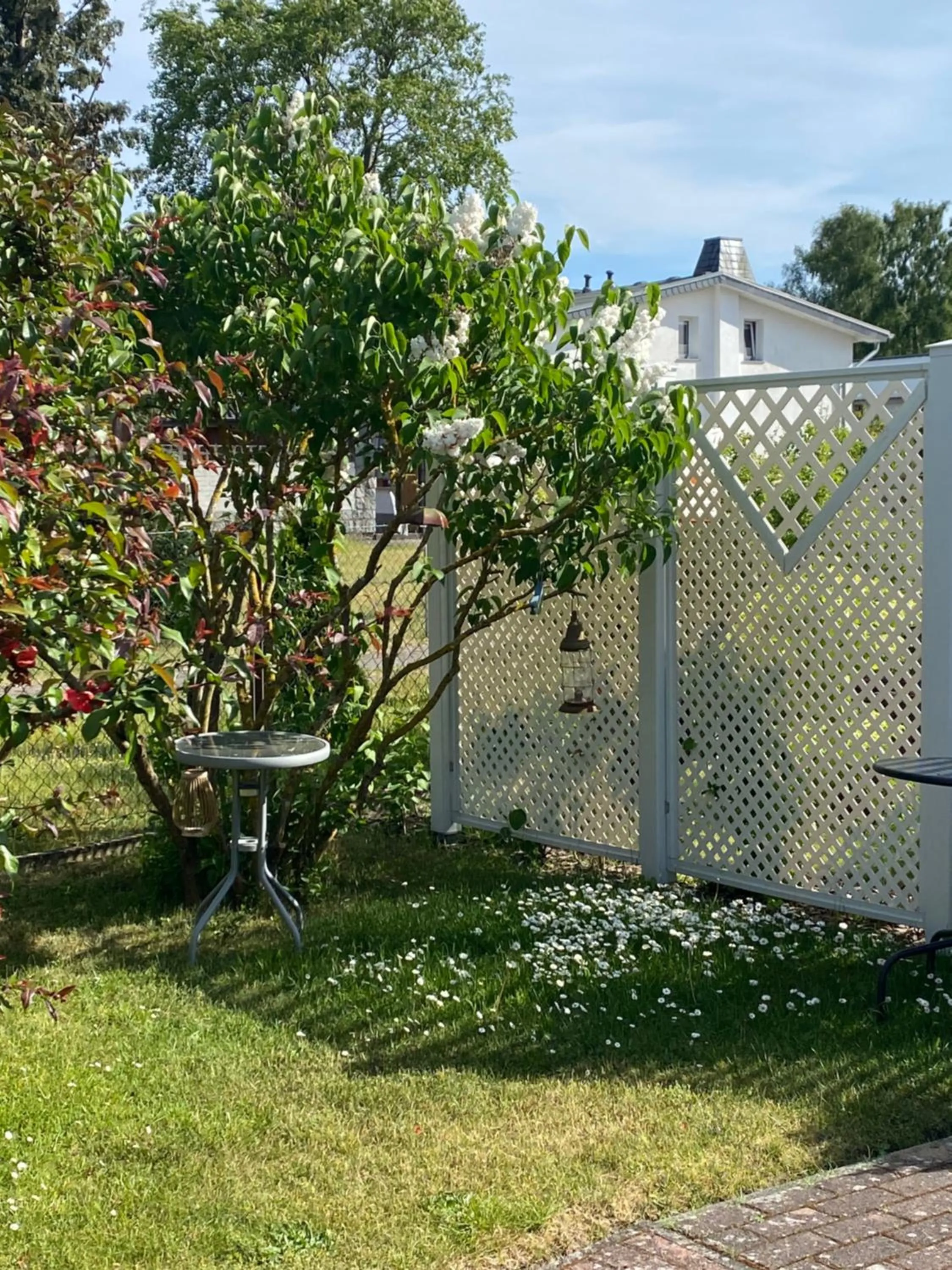 Spring in Strandkojen