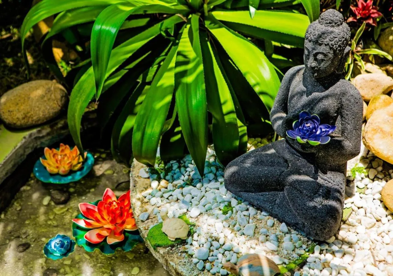 Natural landscape in Villa Baobá Pousada & Spa