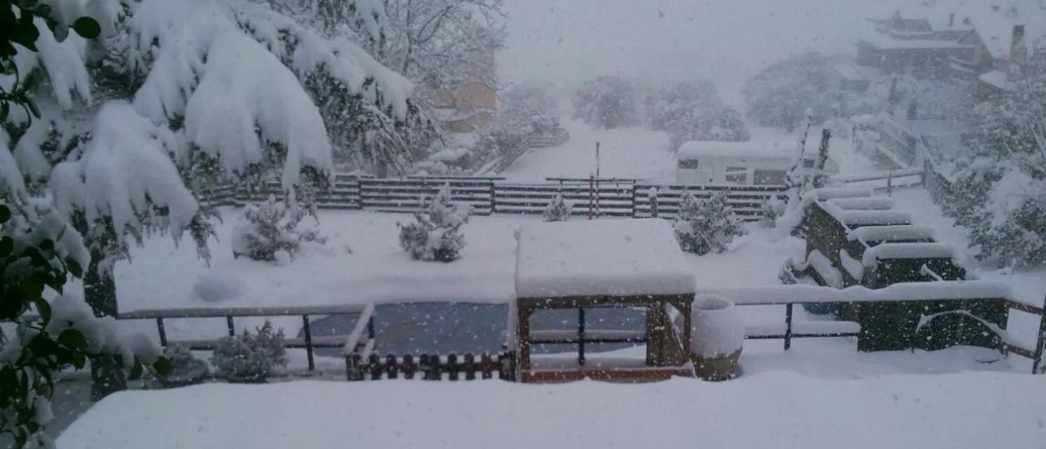 Garden view in Ca'Silvia