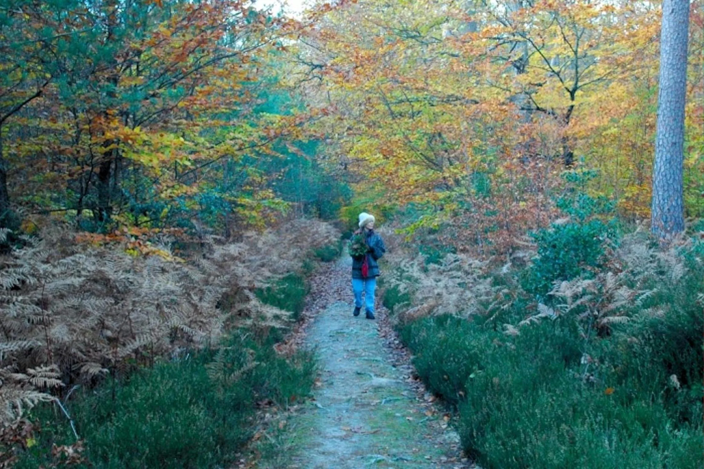 Hiking in La Maison de l'Argentier du Roy
