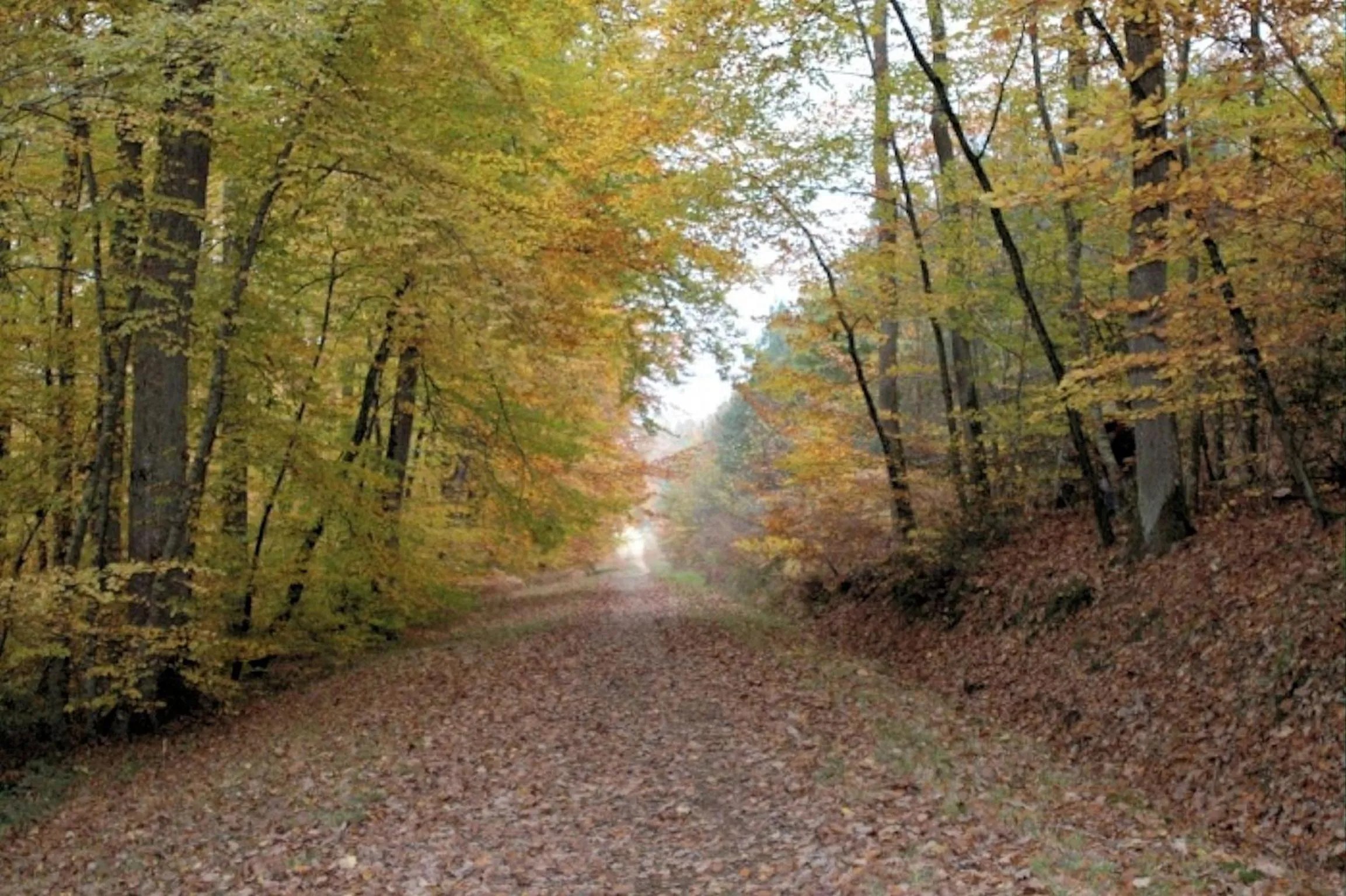 Hiking in La Maison de l'Argentier du Roy