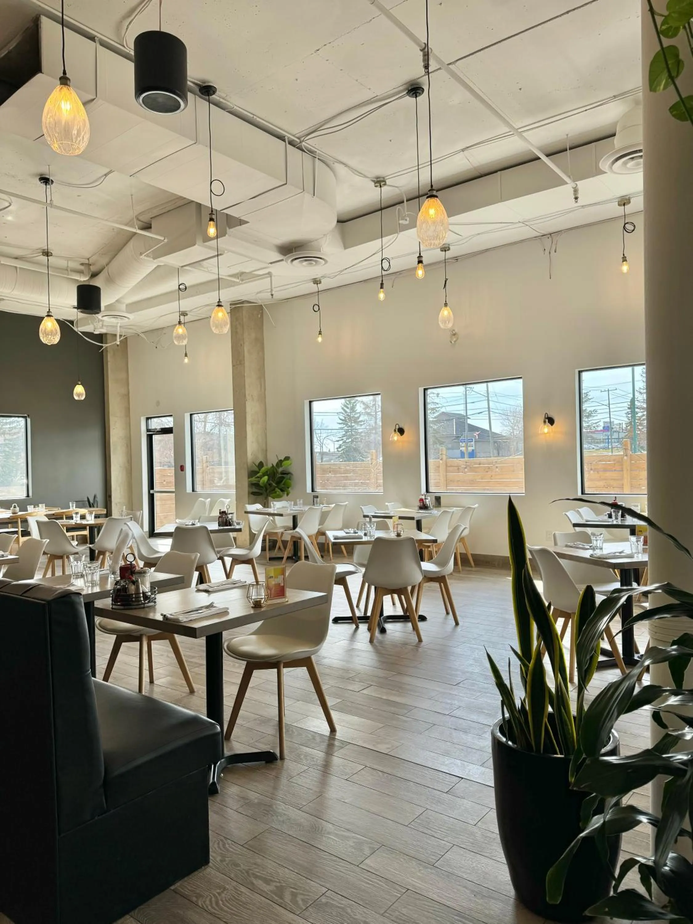 Restaurant/places to eat in Divya Sutra Plaza and Conference Centre Calgary Airport