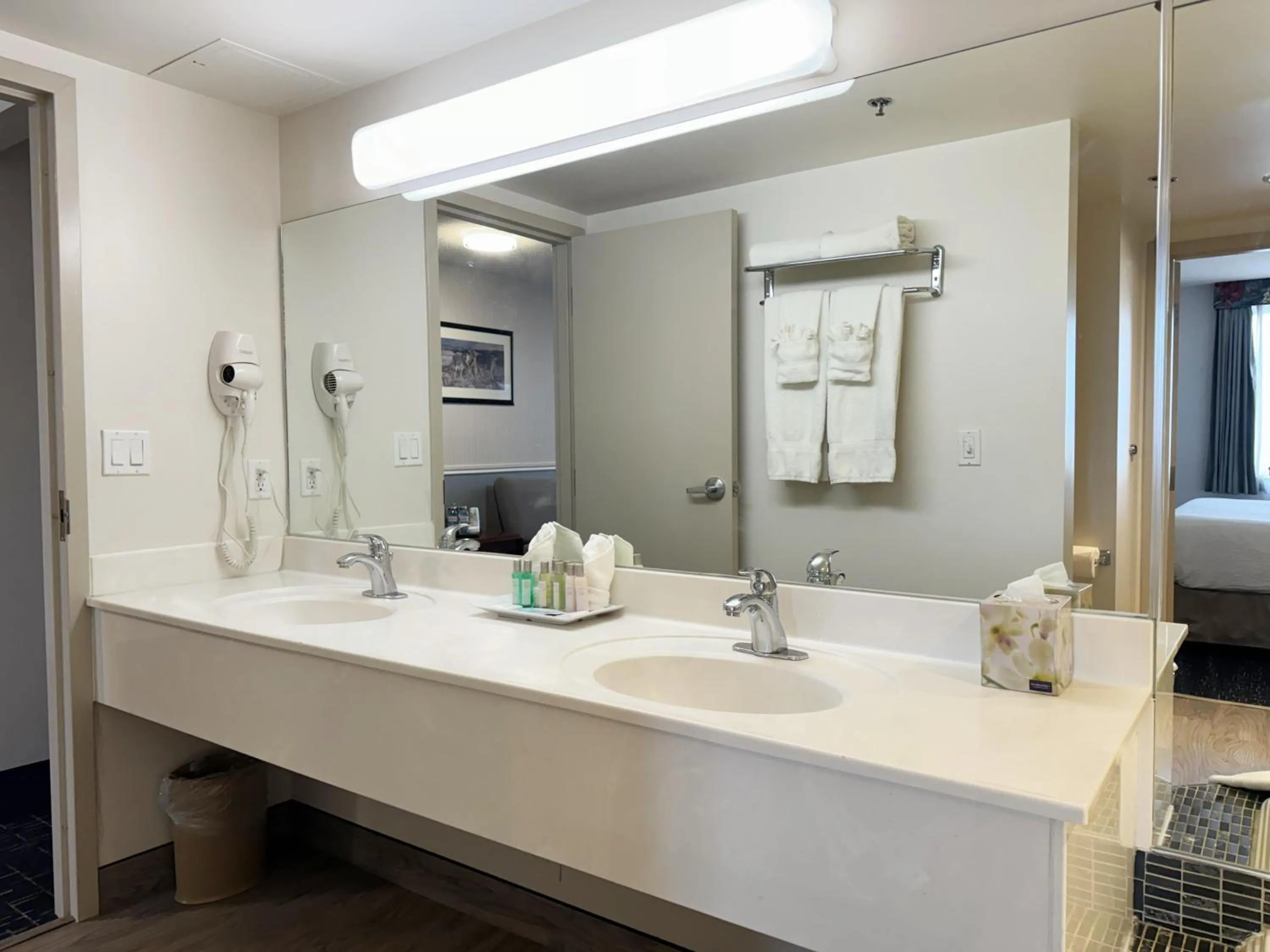 Bathroom in Divya Sutra Plaza and Conference Centre Calgary Airport