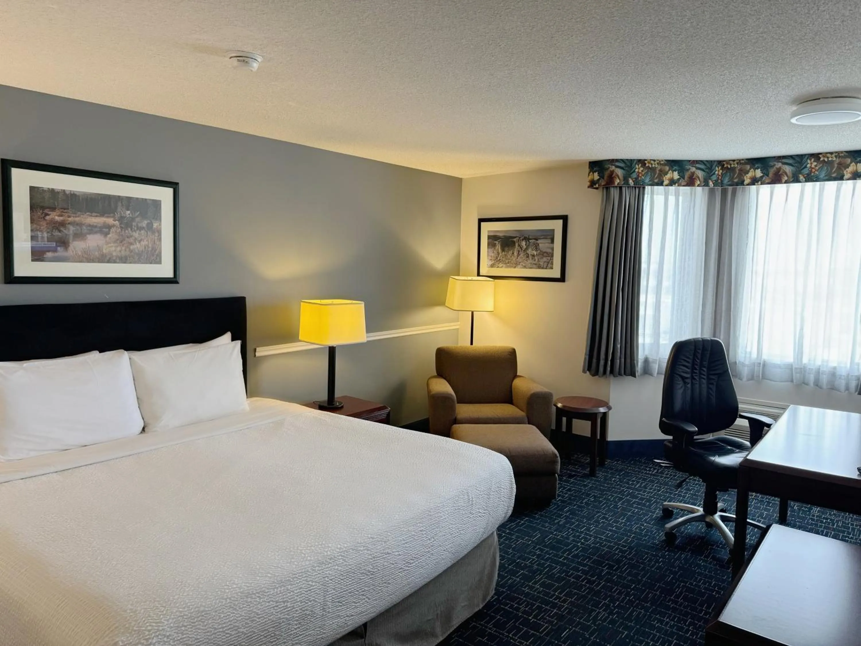 Living room, Bed in Divya Sutra Plaza and Conference Centre Calgary Airport