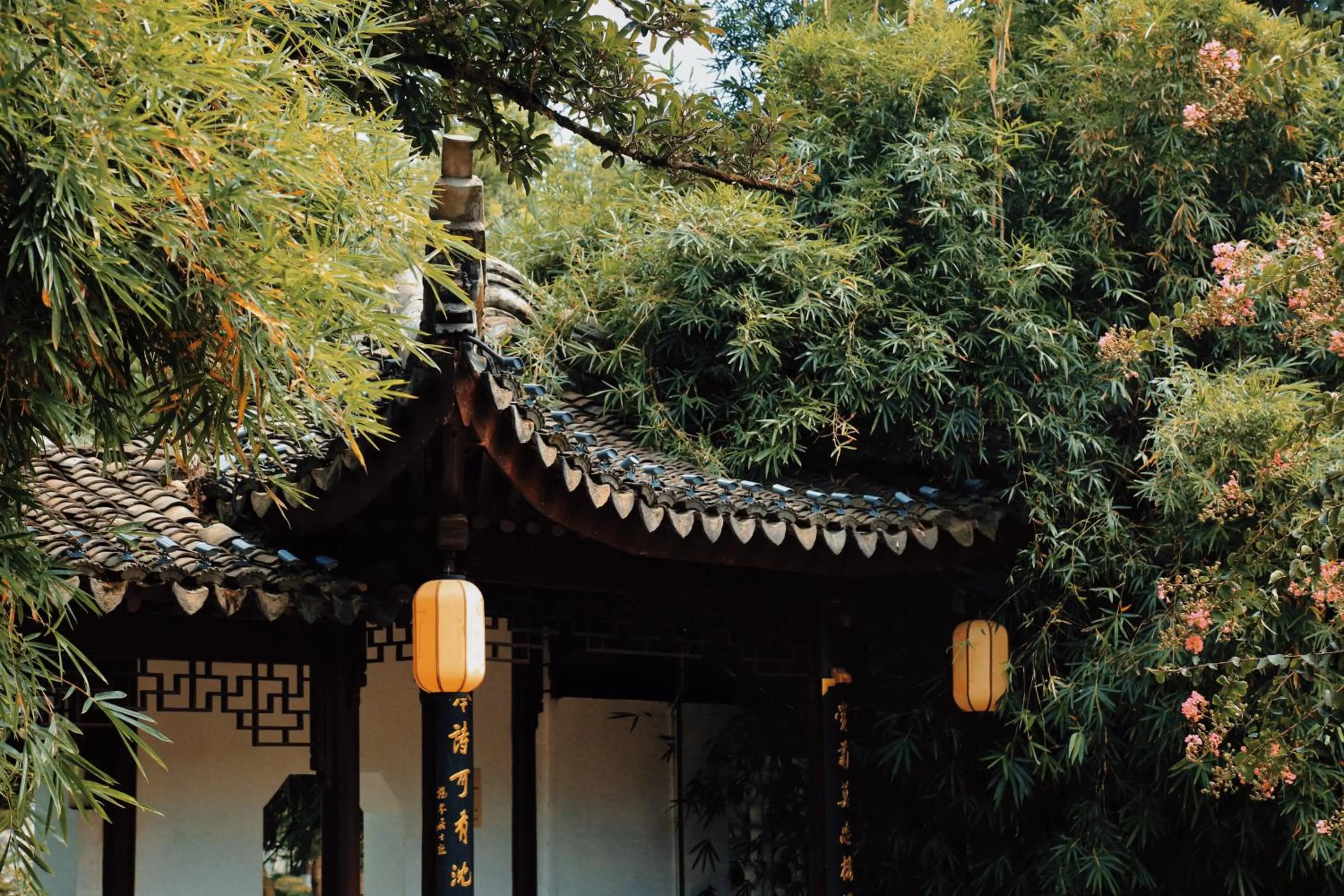 Entertainment in Shangri-La Ningbo