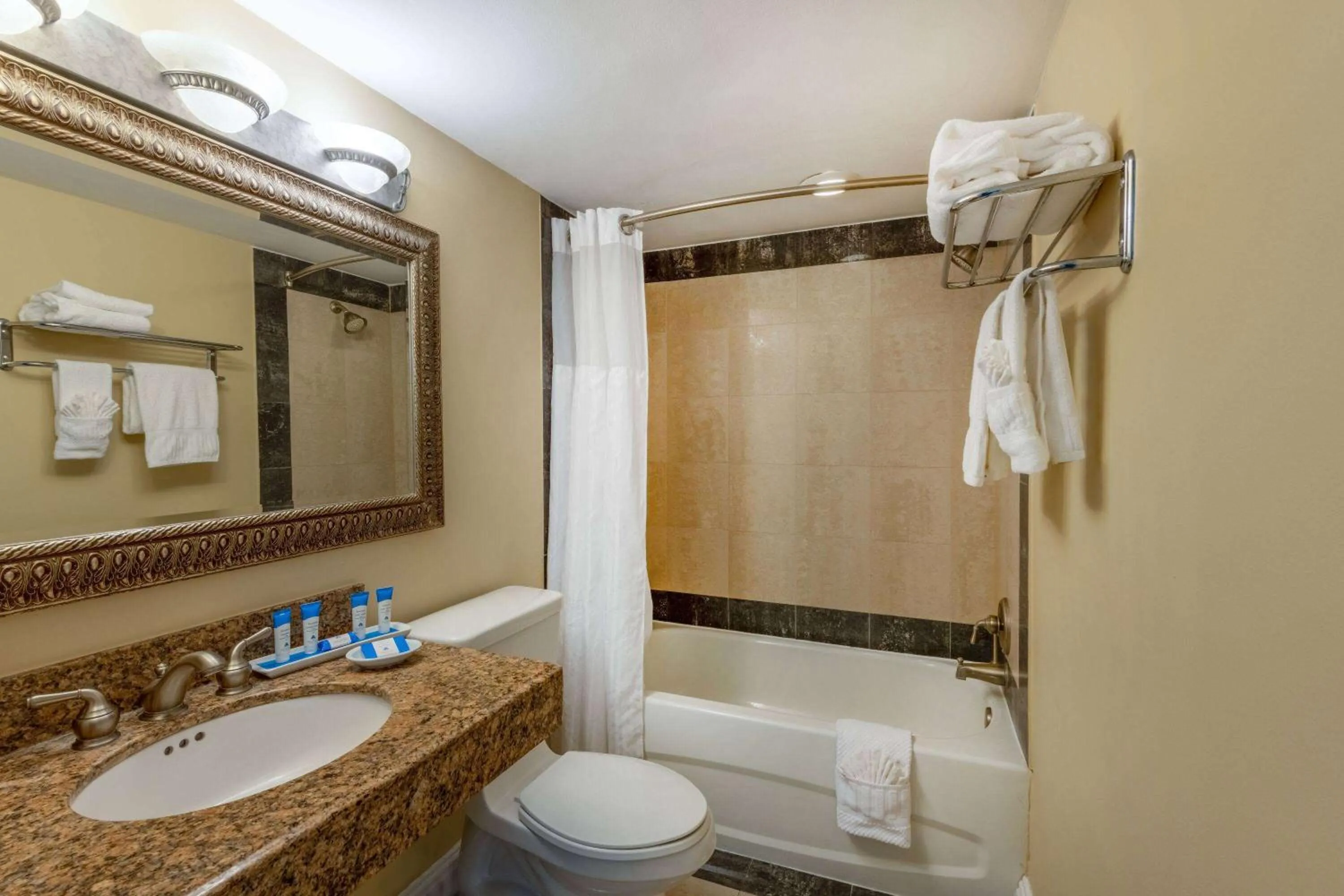 TV and multimedia in Safety Harbor Resort & Spa Trademark Collection by Wyndham