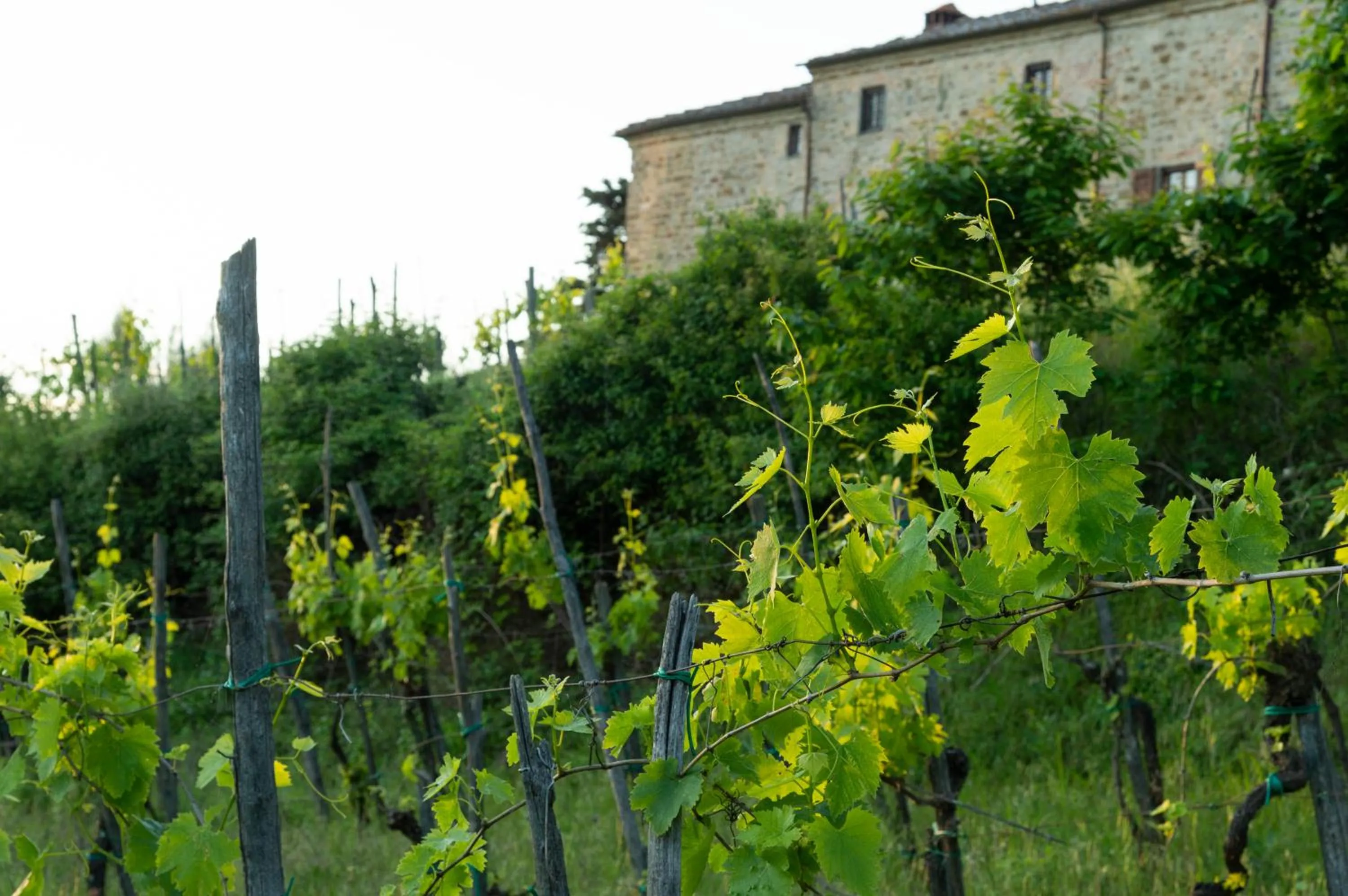 Property building in La Rimbecca Greve in Chianti