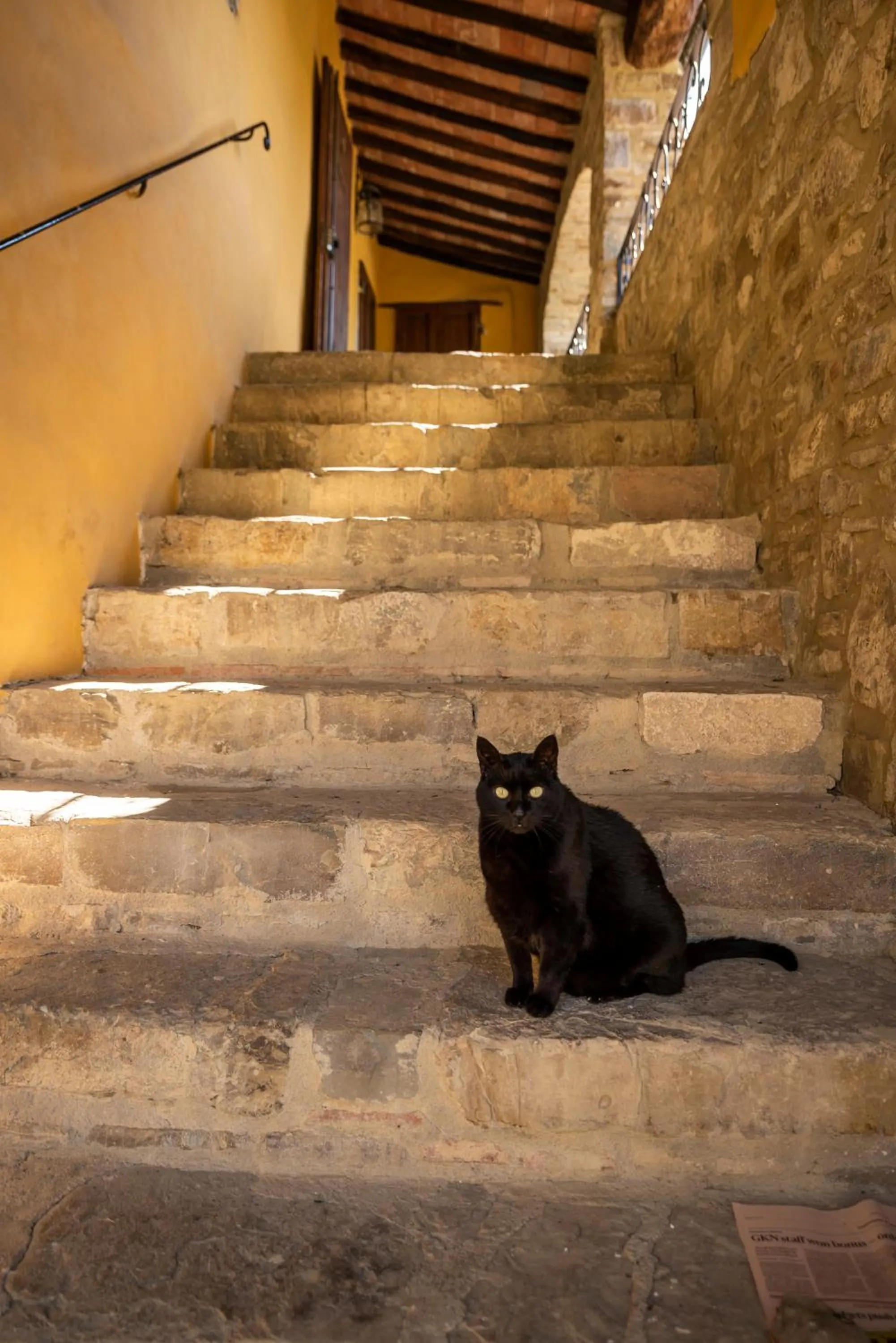 Pets in La Rimbecca Greve in Chianti