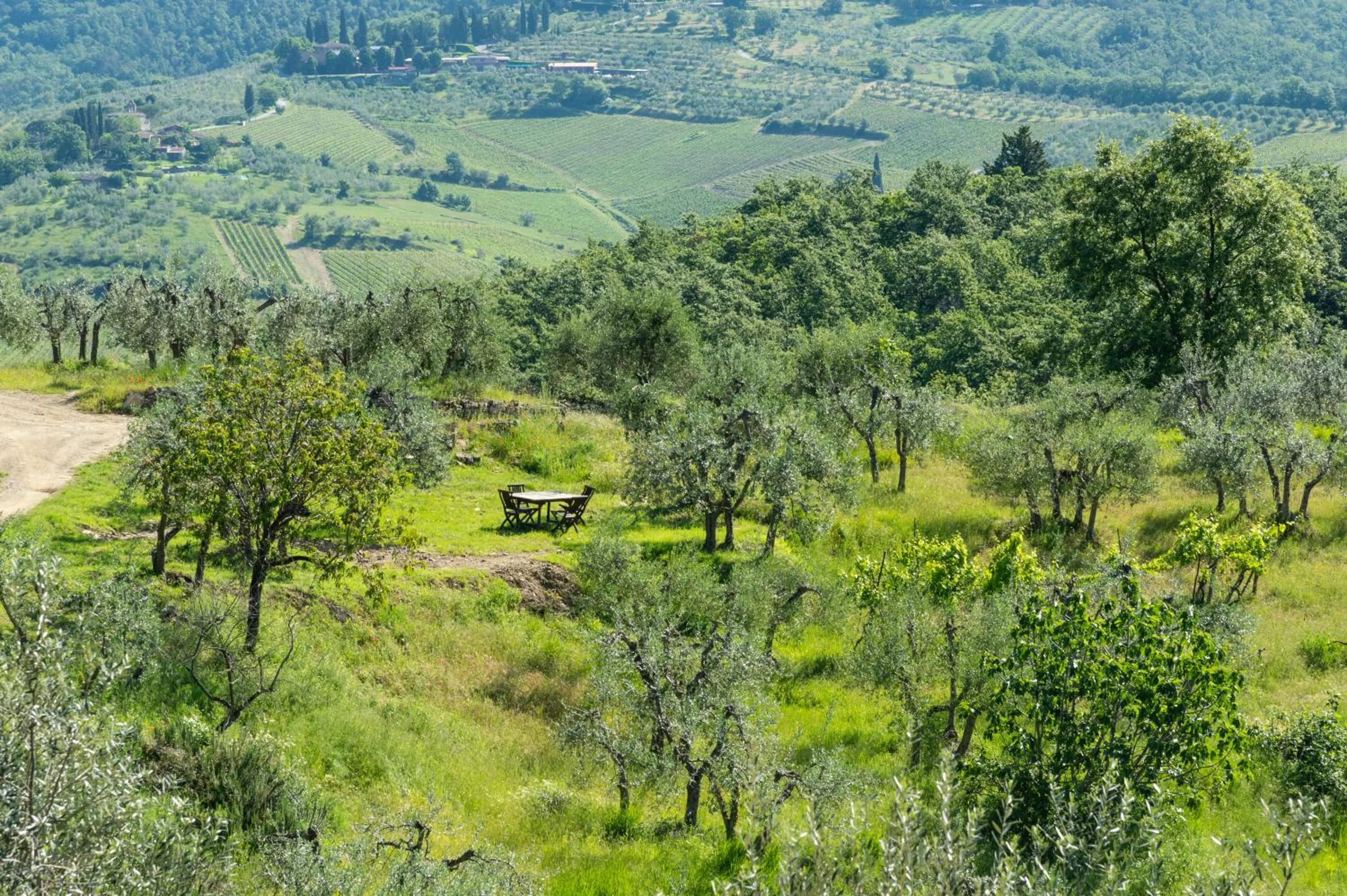 Hiking in La Rimbecca Greve in Chianti