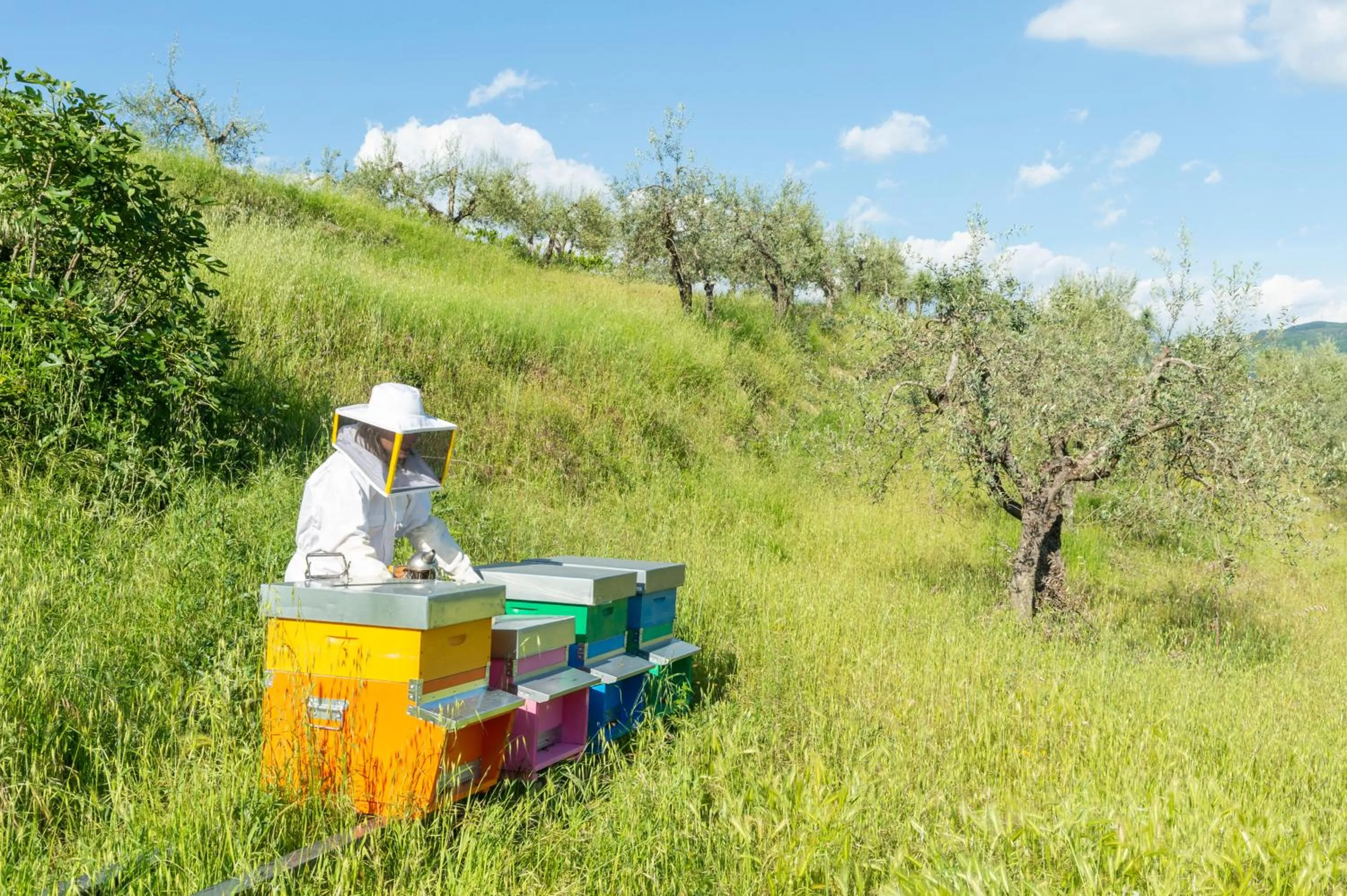 Staff in La Rimbecca Greve in Chianti