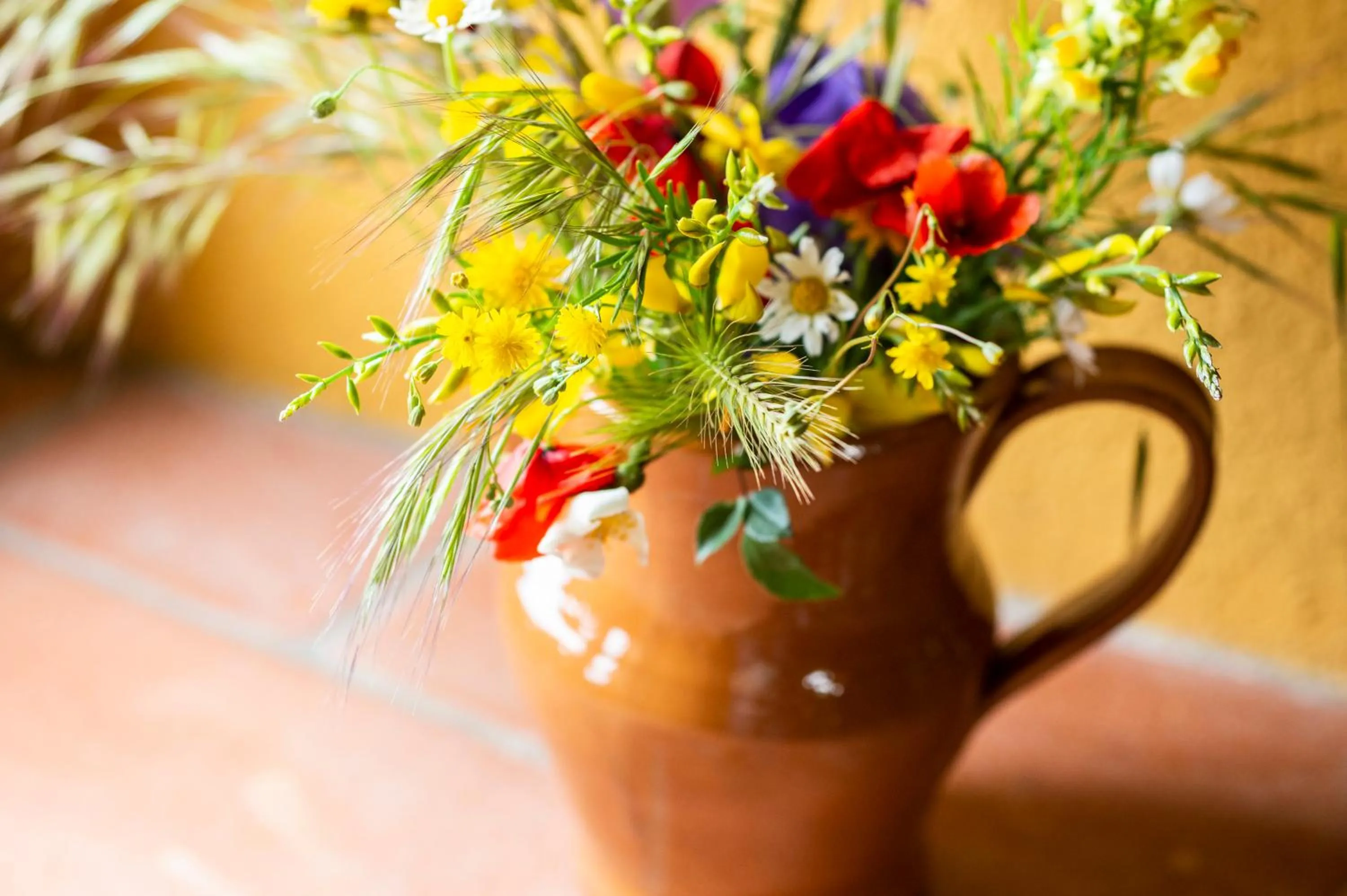 Drinks in La Rimbecca Greve in Chianti