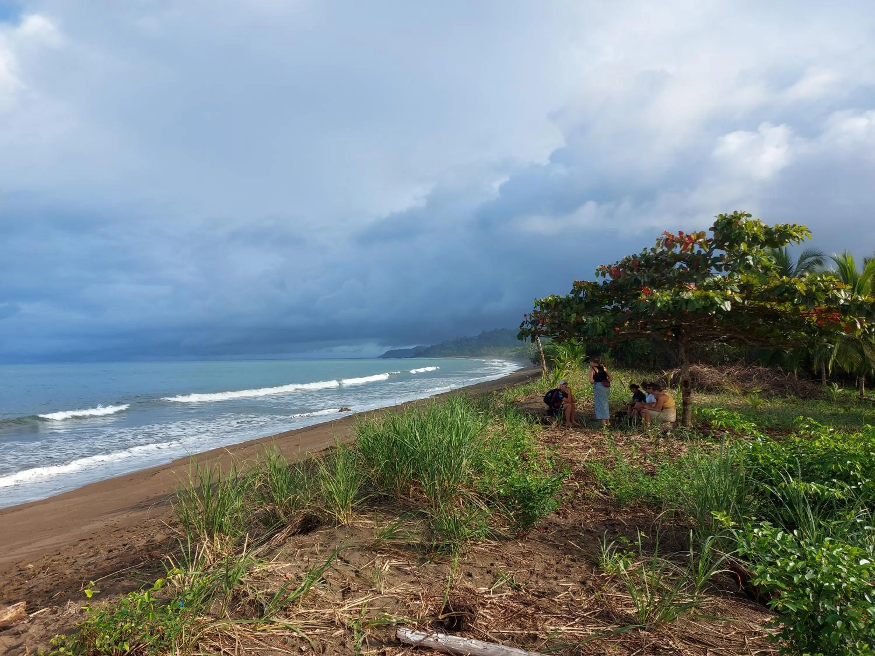 Beach in Hotel Casa Gitana Corcovado Tour operador