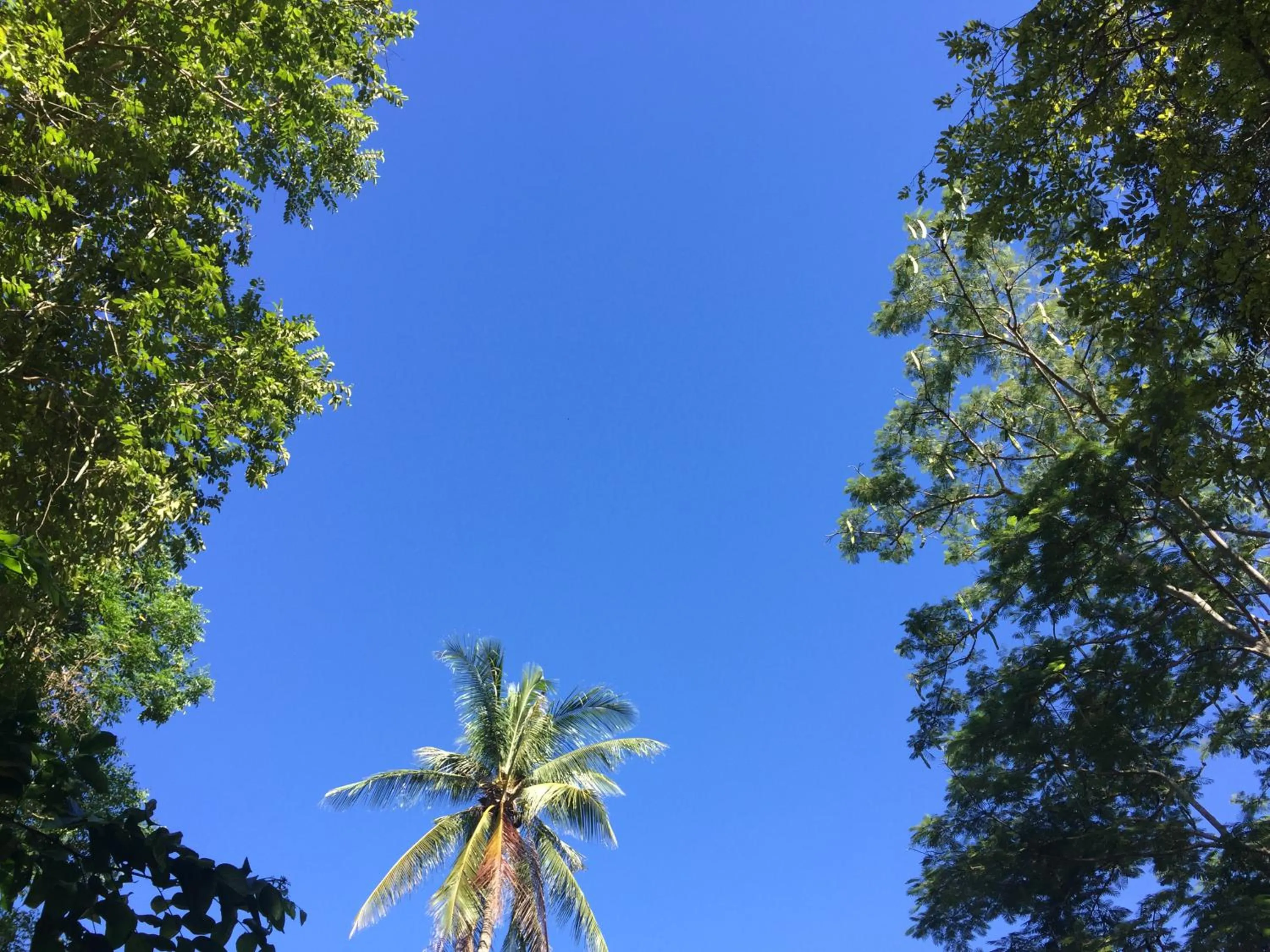 Garden view in Saiyok River House