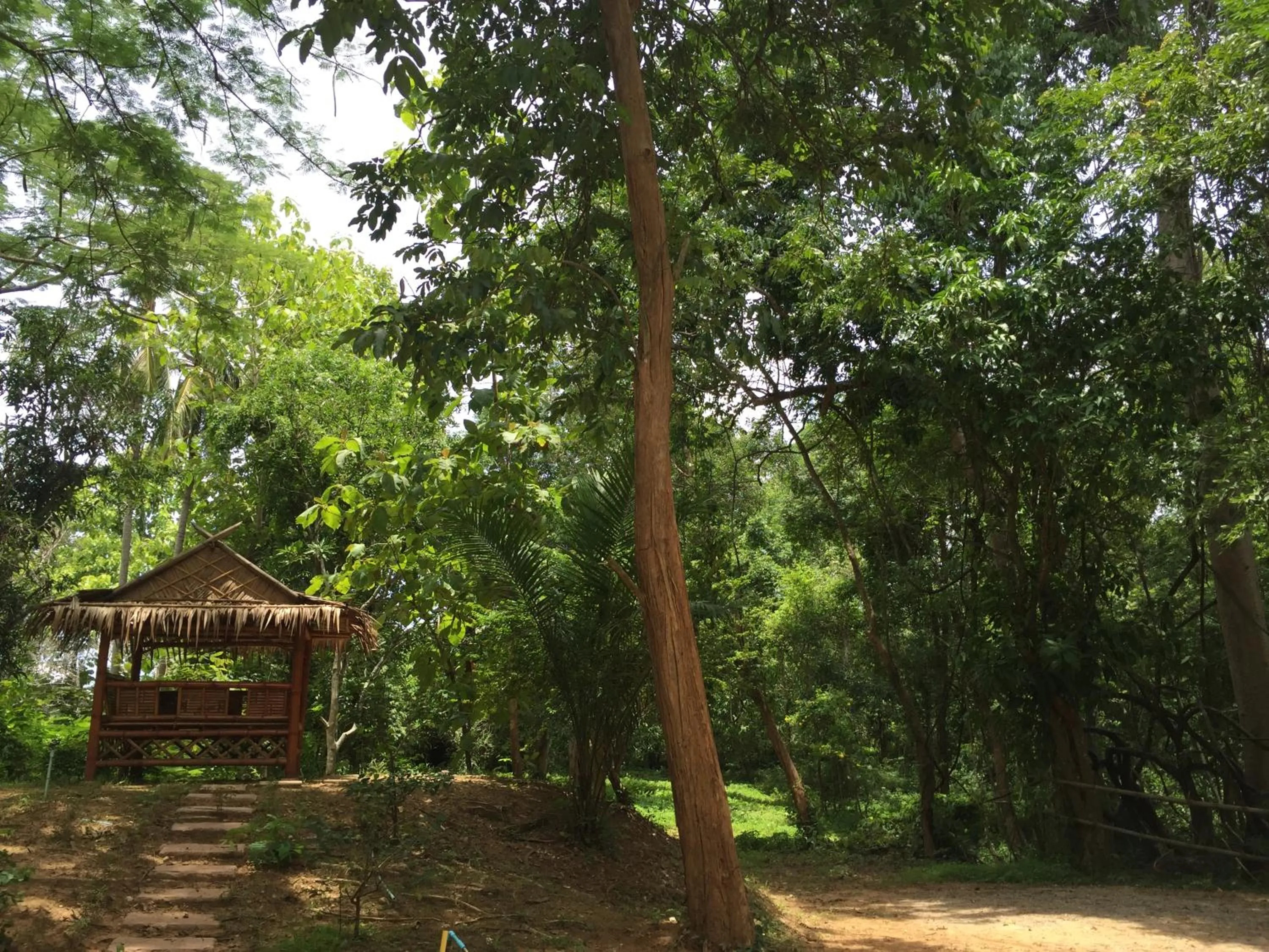 Natural landscape in Saiyok River House