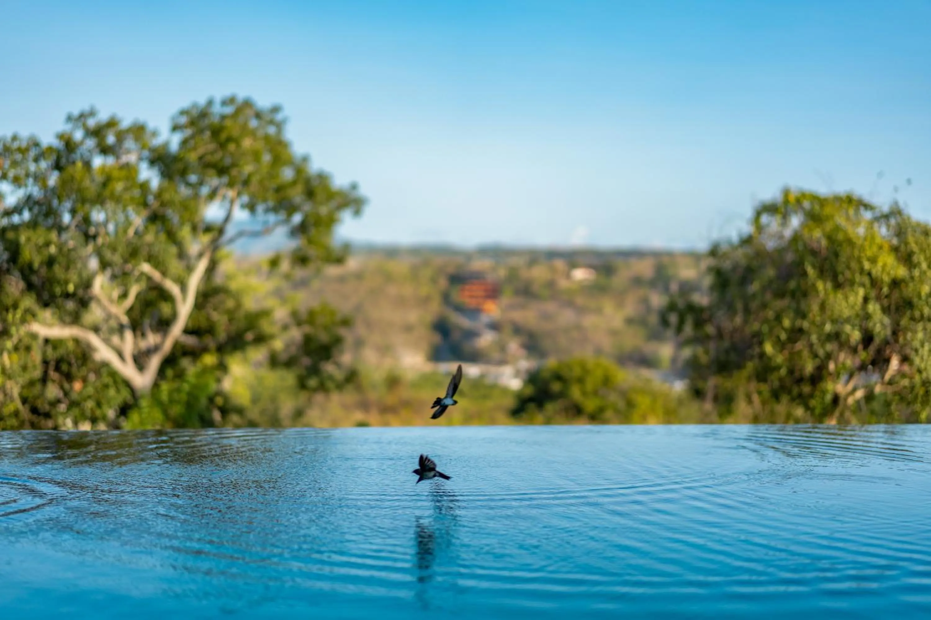 Swimming pool in C-View Villas