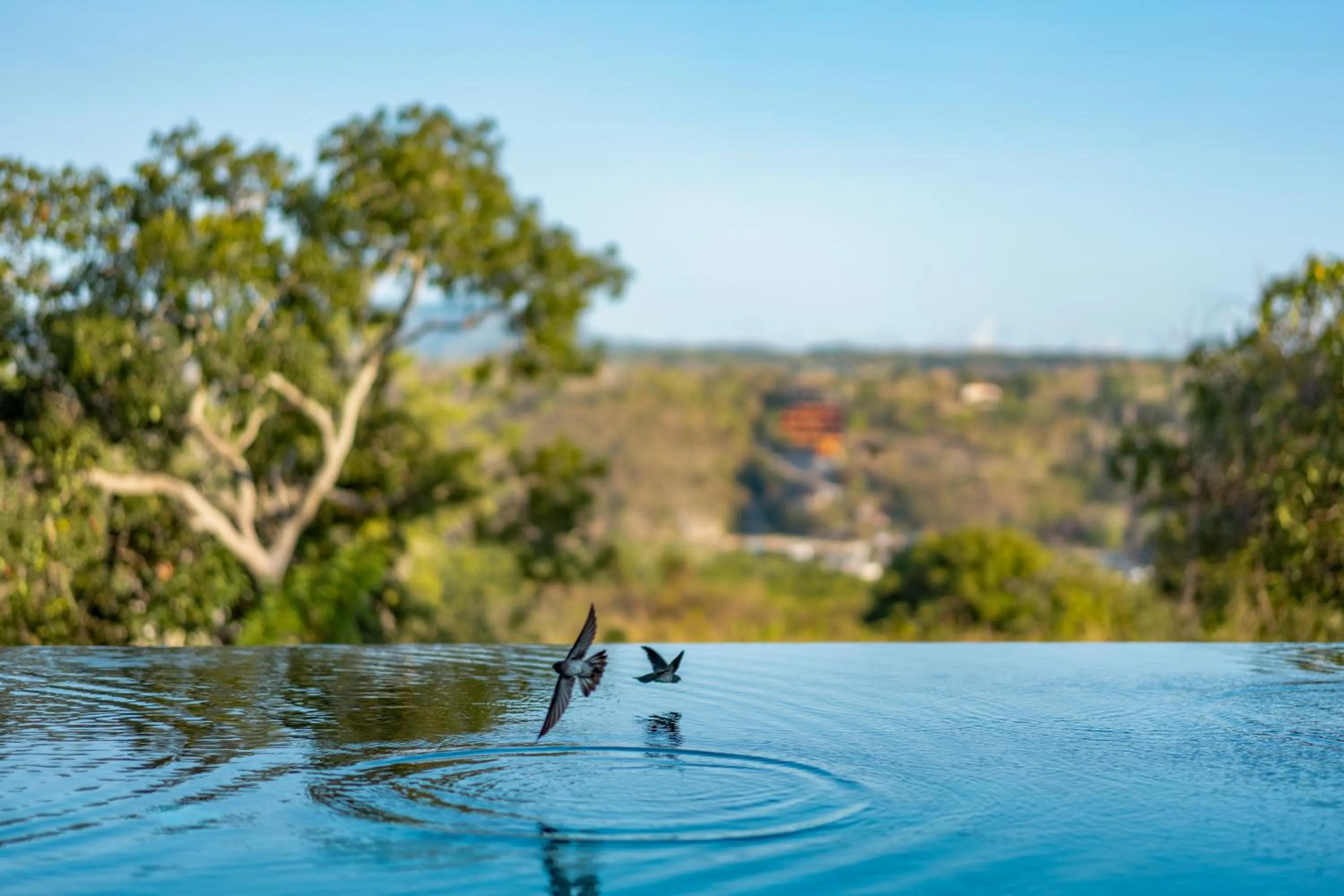 Swimming pool in C-View Villas