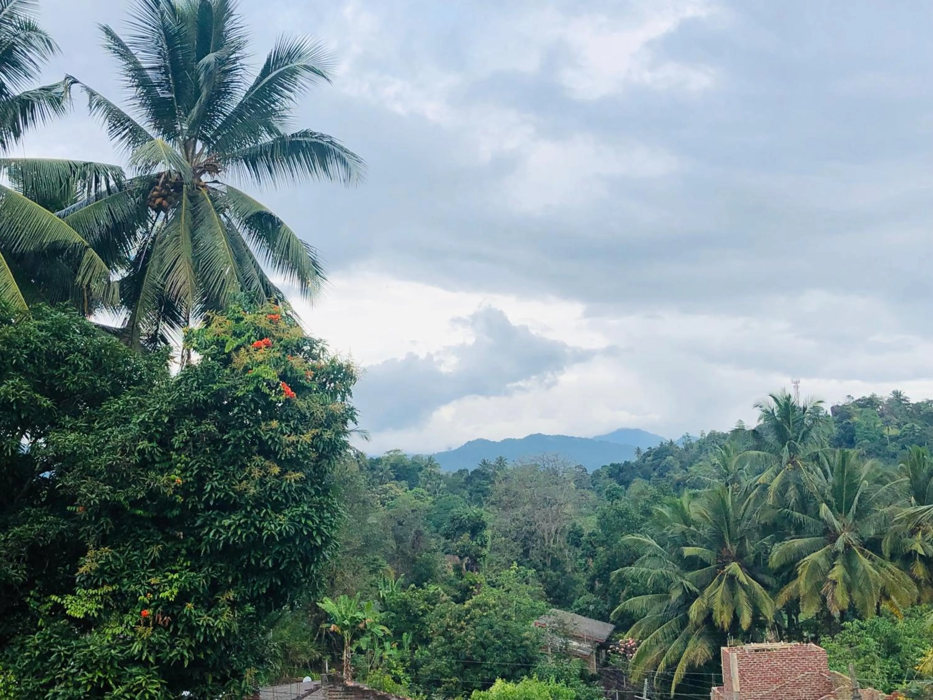 Natural landscape in Rivora Residence