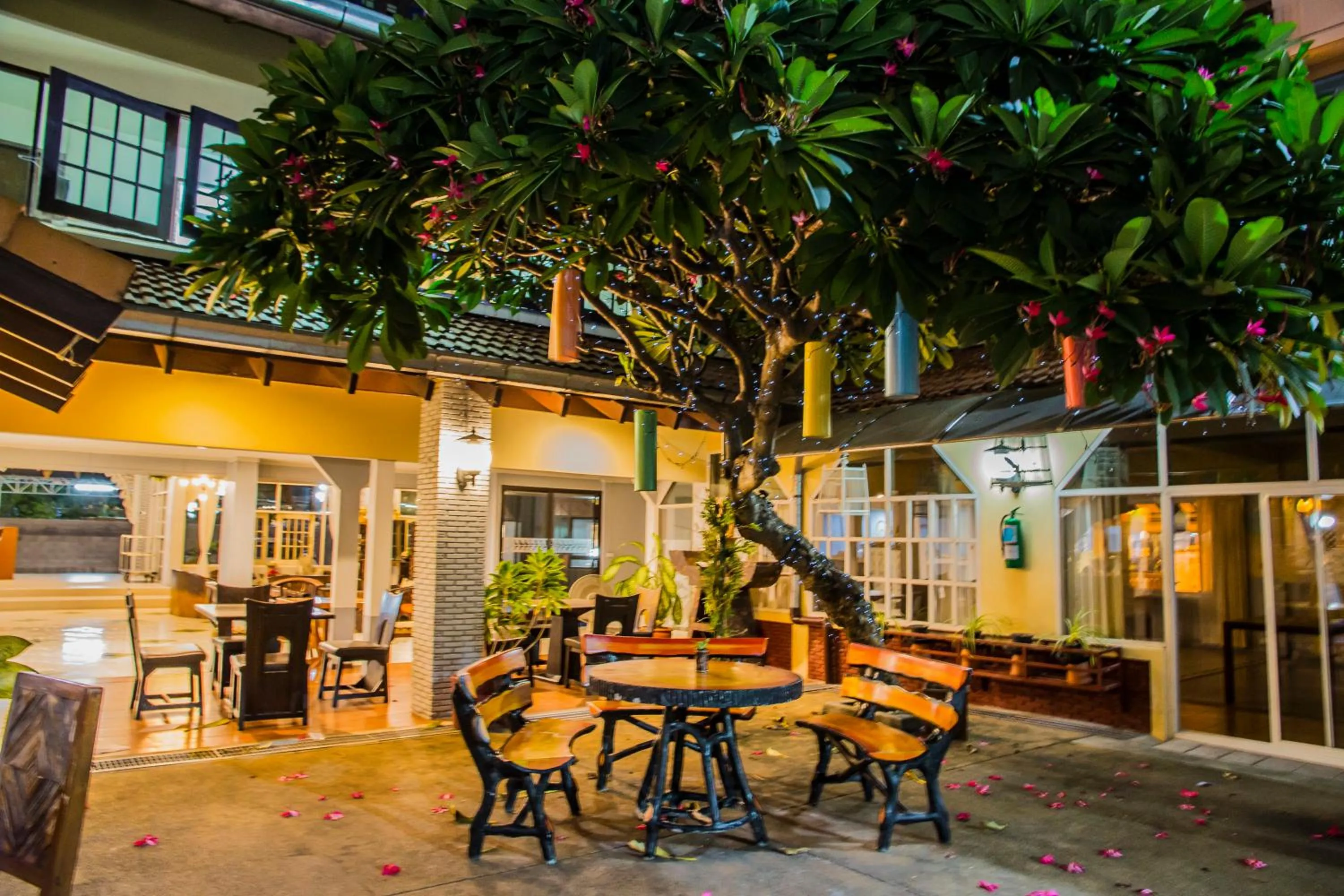 Garden in S Lodge Pattaya formally Sabai Lodge