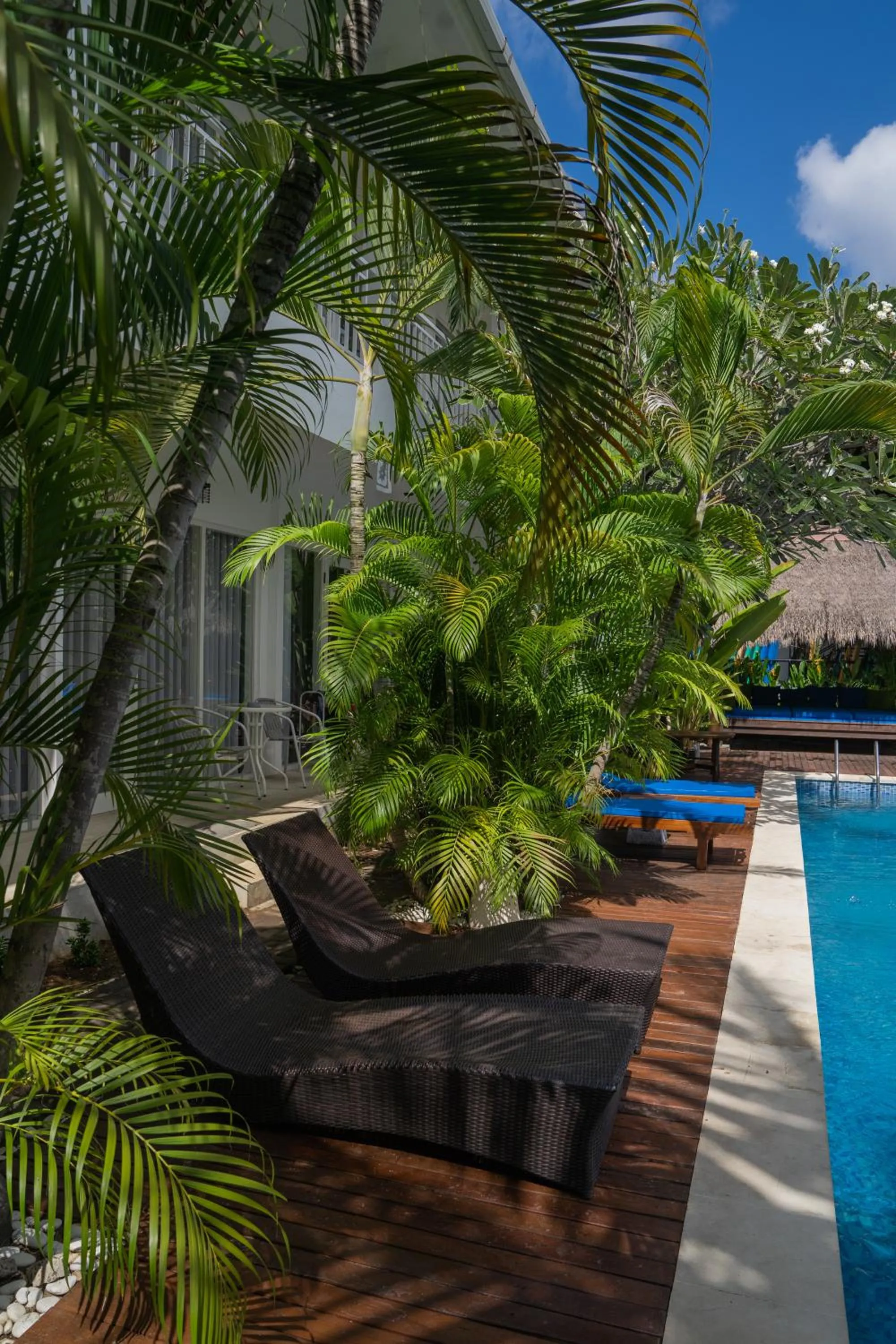 Swimming pool in Easy Surf Camp