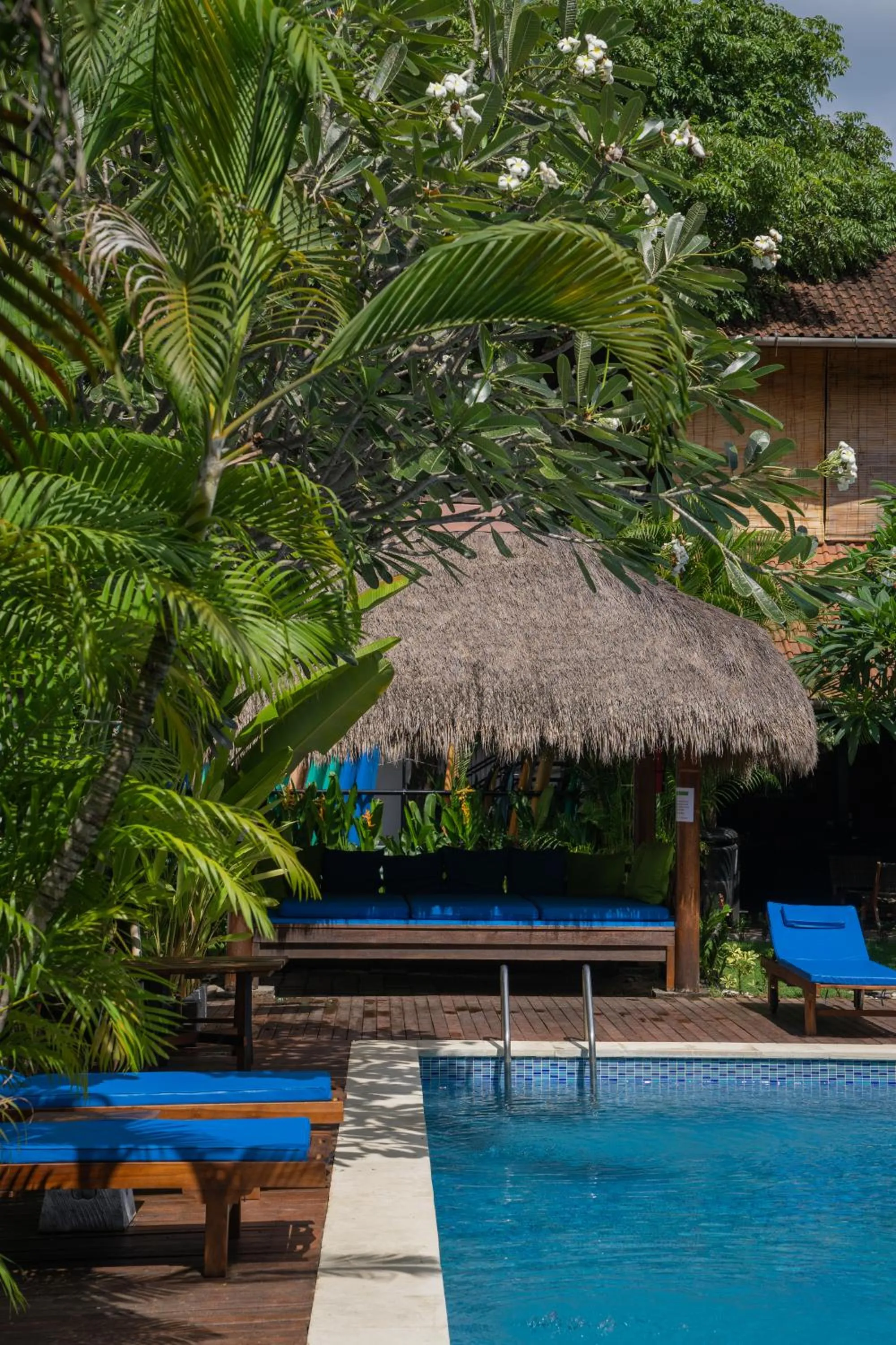 Swimming pool in Easy Surf Camp