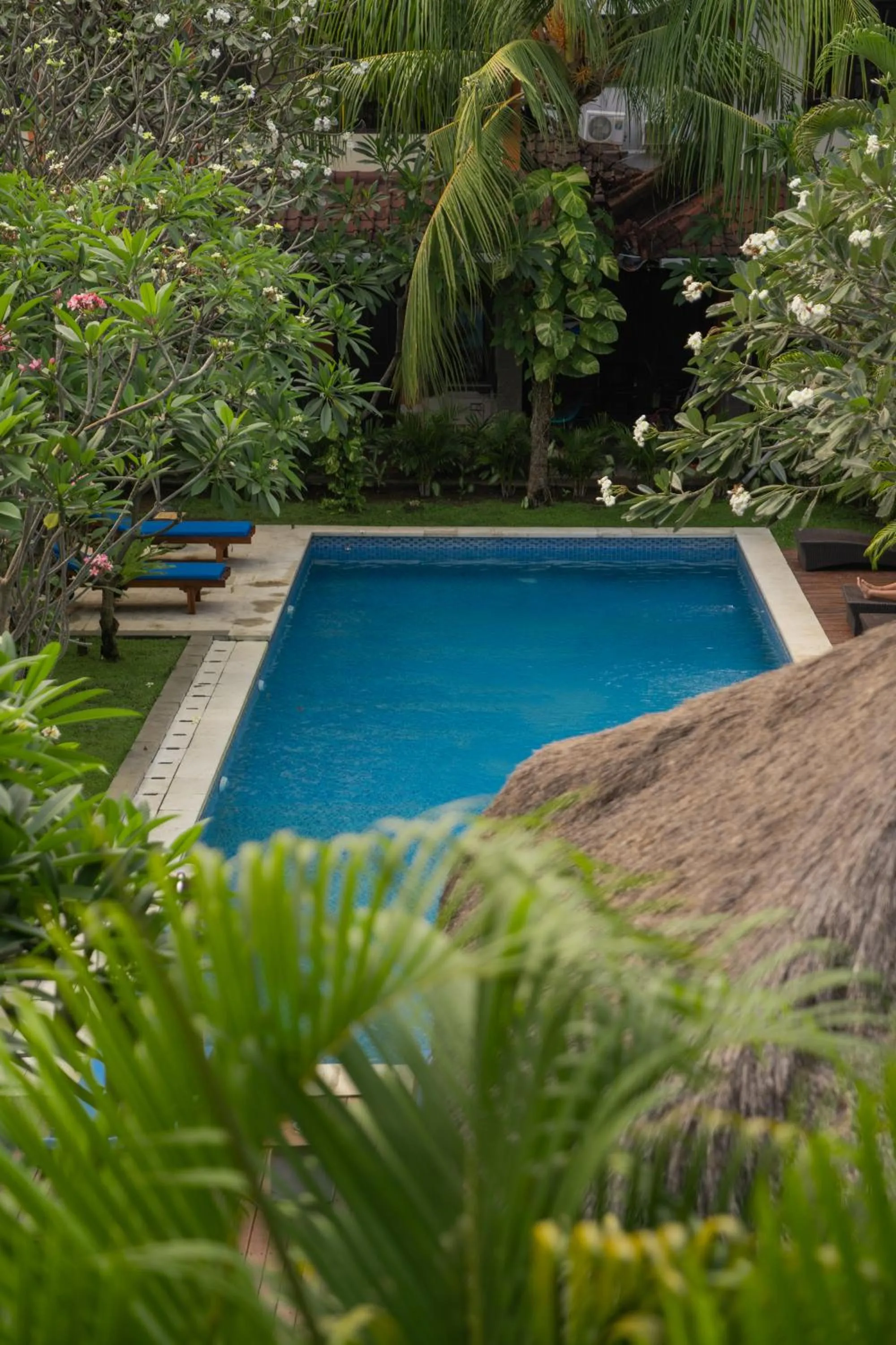 Garden in Easy Surf Camp