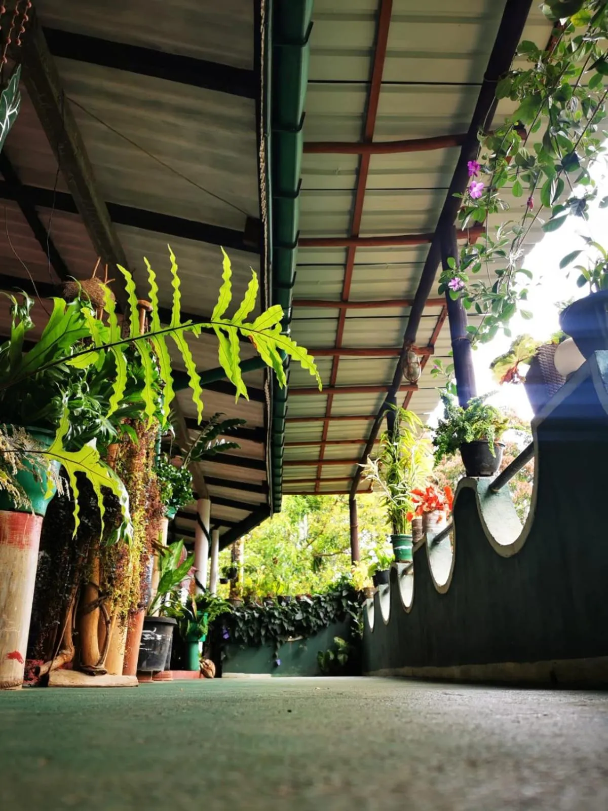 Property building in Cozy Homestay Waterfall Road Ella