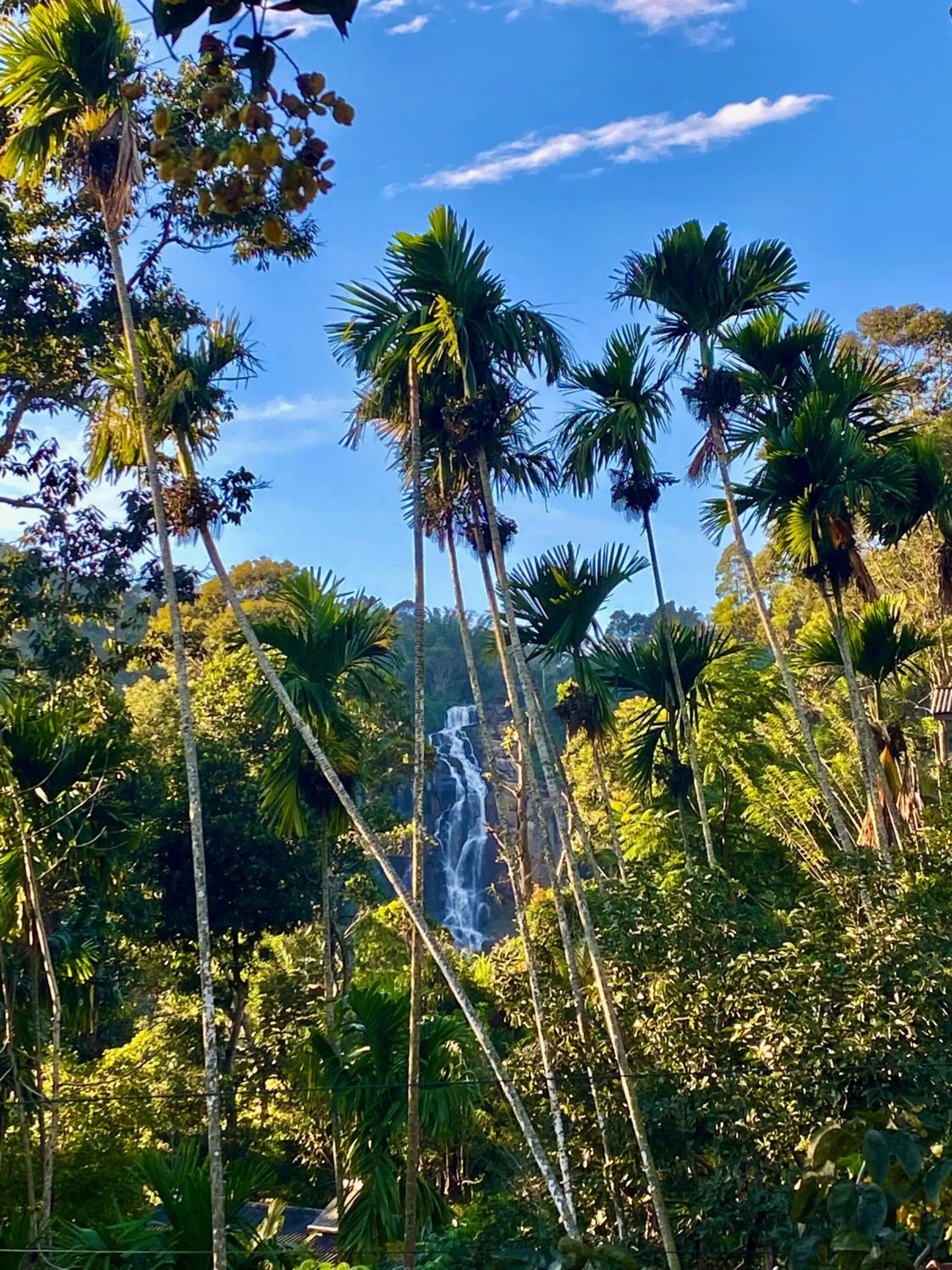 View (from property/room) in Cozy Homestay Waterfall Road Ella