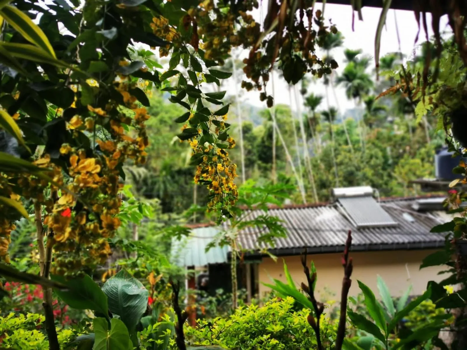 Natural landscape in Cozy Homestay Waterfall Road Ella