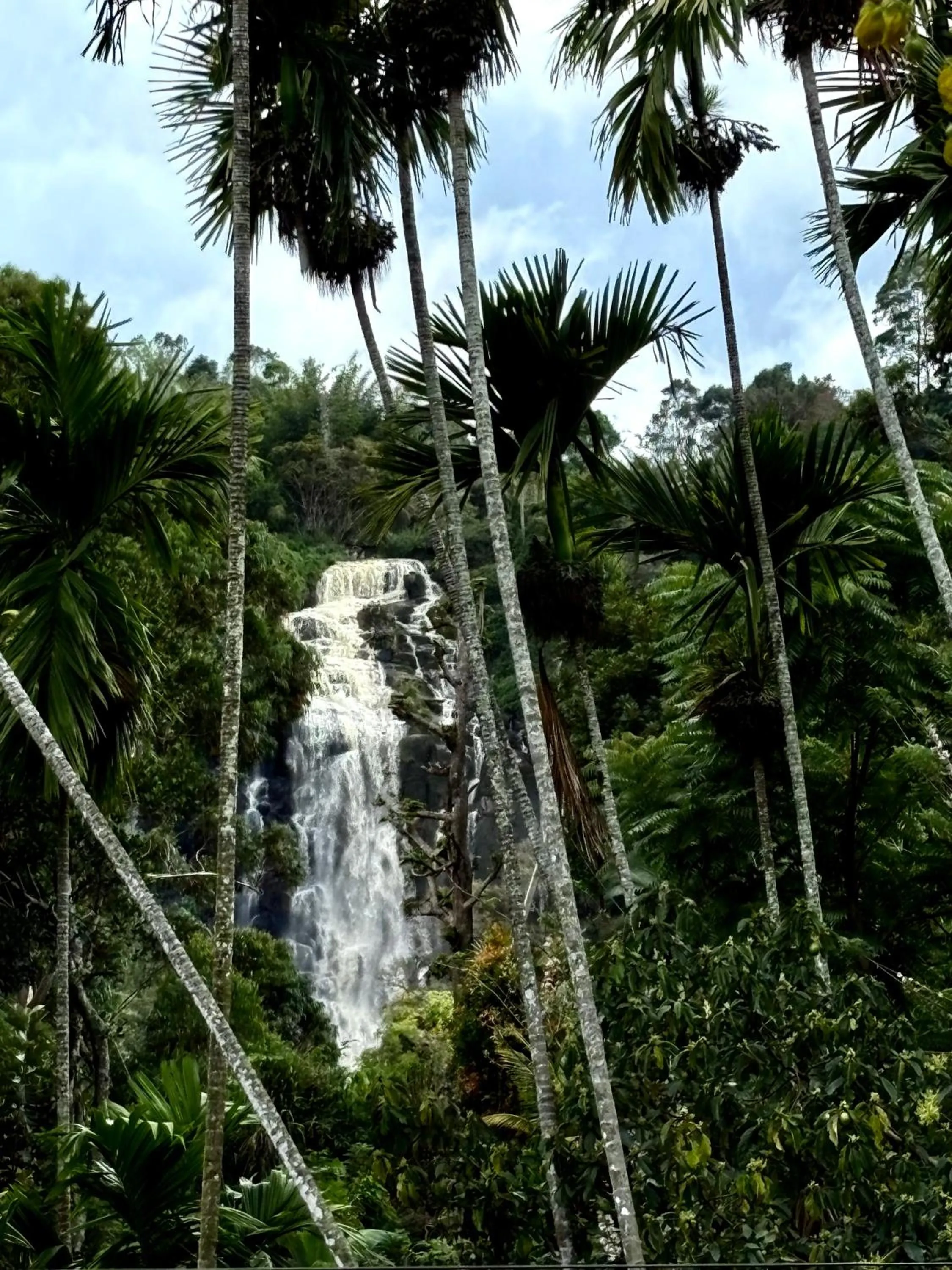 Nearby landmark in Cozy Homestay Waterfall Road Ella