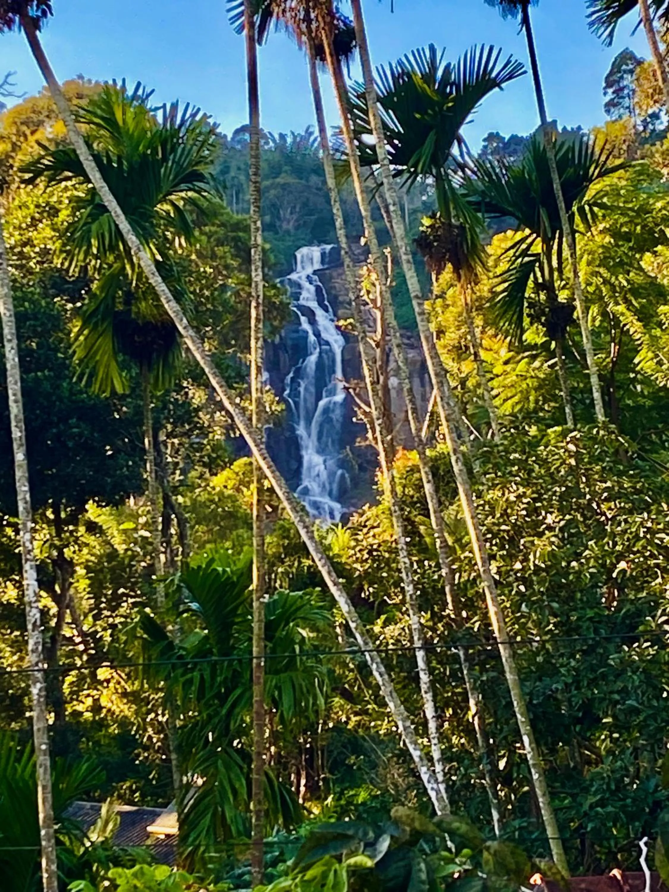 View (from property/room) in Cozy Homestay Waterfall Road Ella