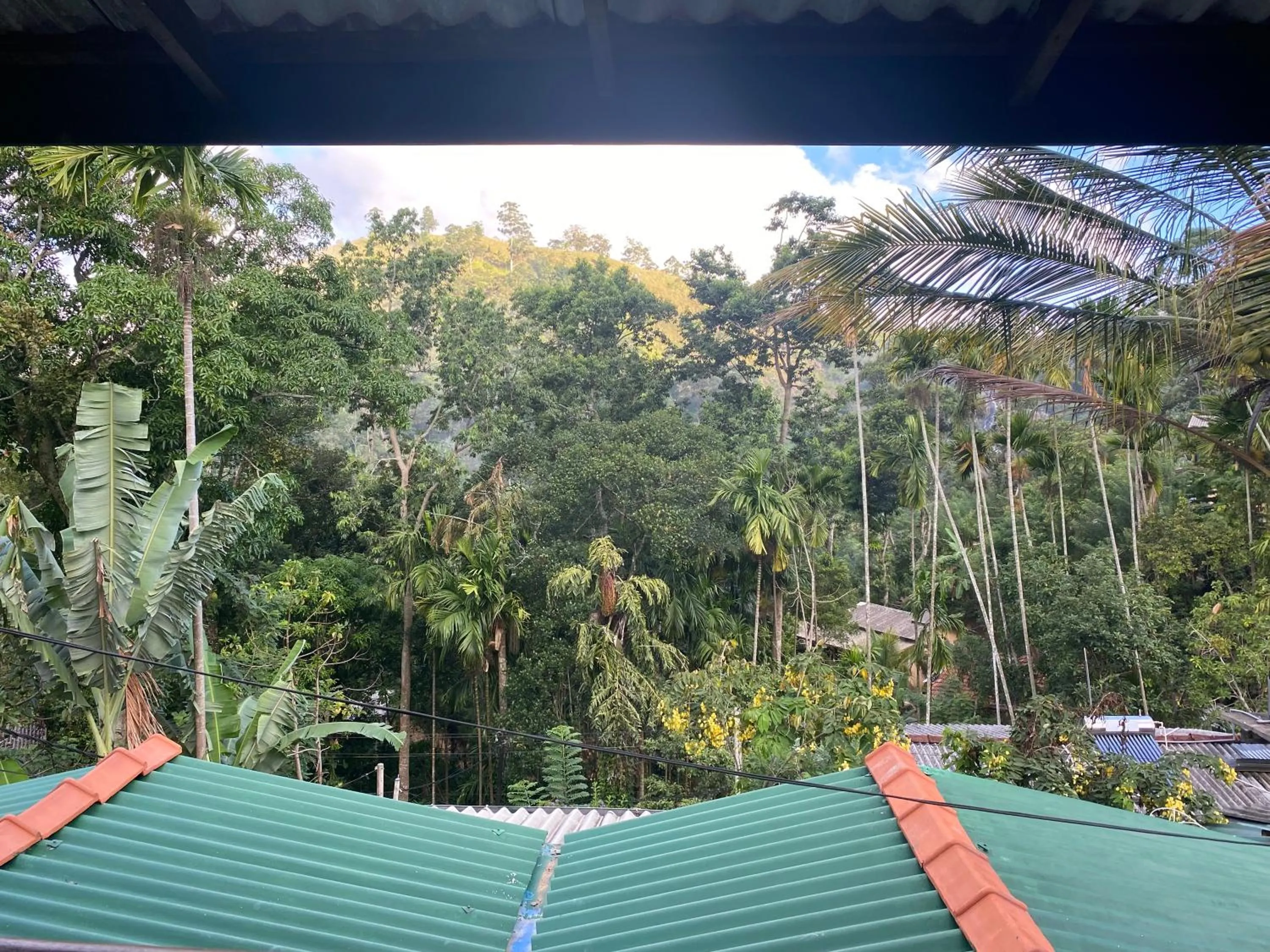 Day in Cozy Homestay Waterfall Road Ella