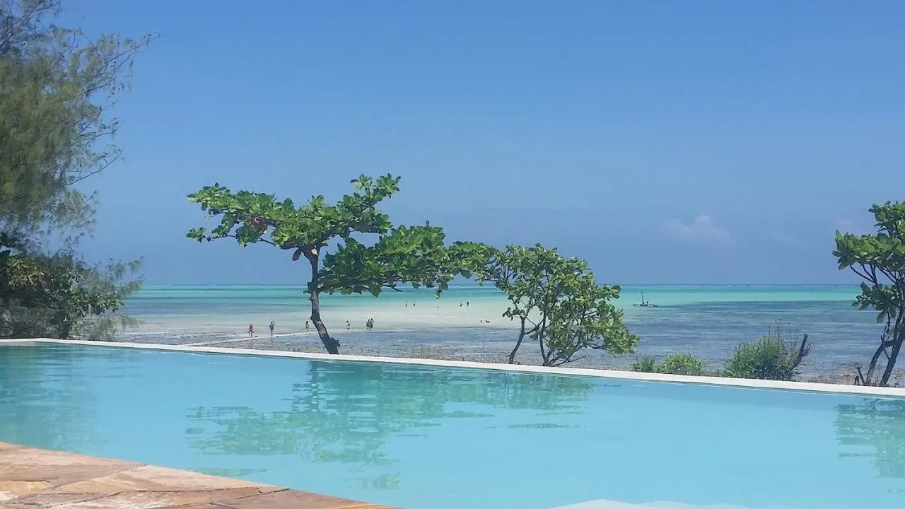 Pool view in Jaribu Beach Hotel