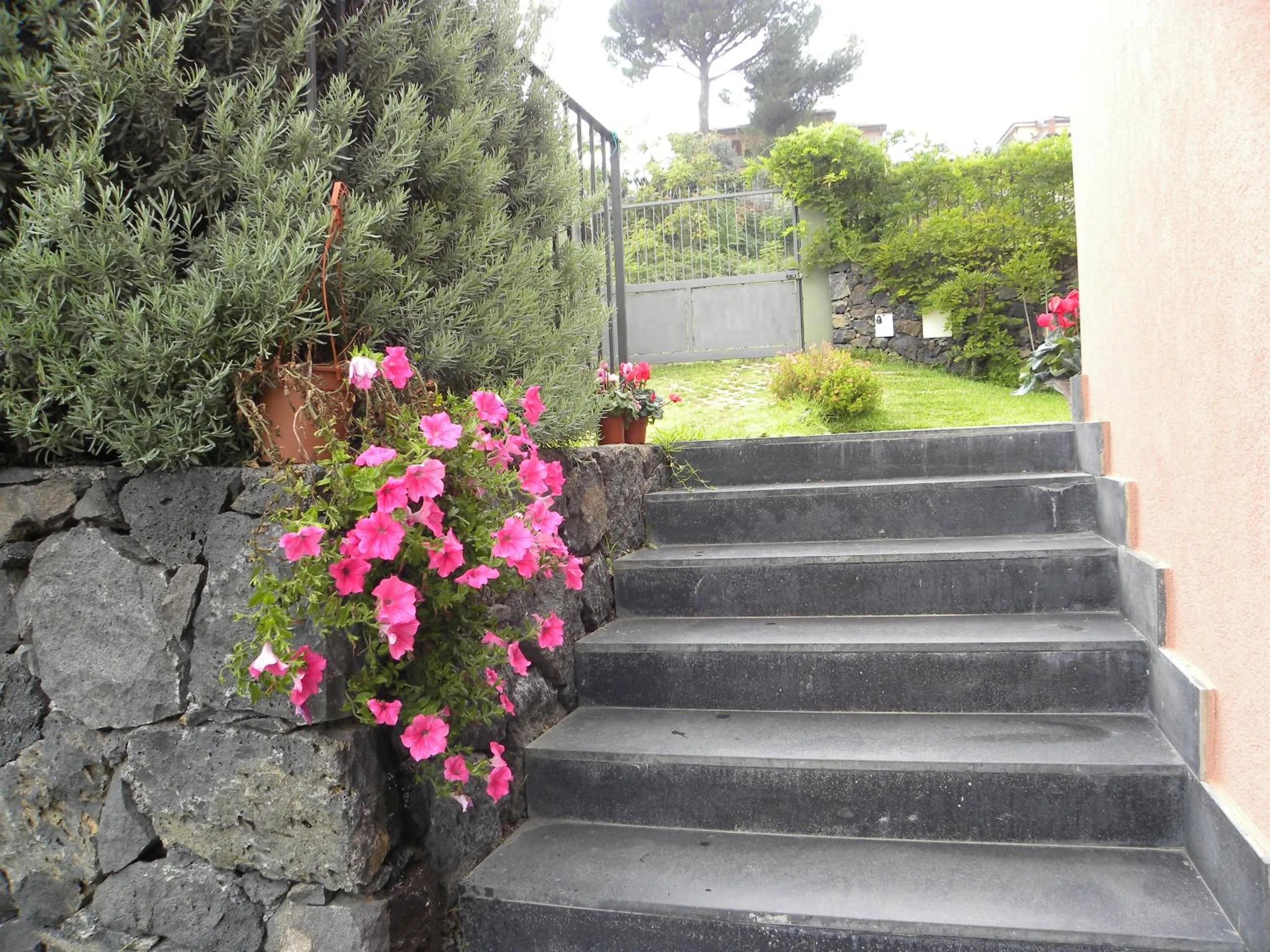 Garden in Poggio Sambuco