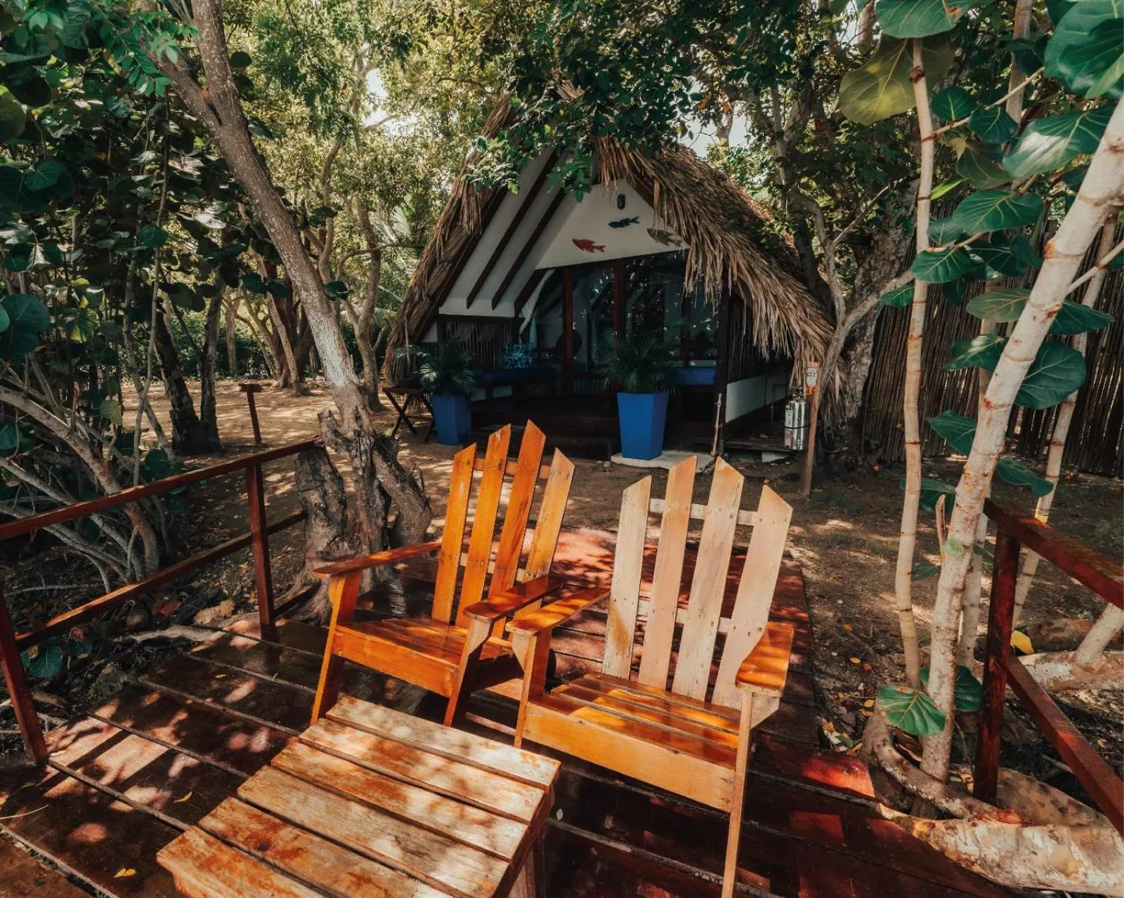 Natural landscape in Hotel Islabela Islas Del Rosario