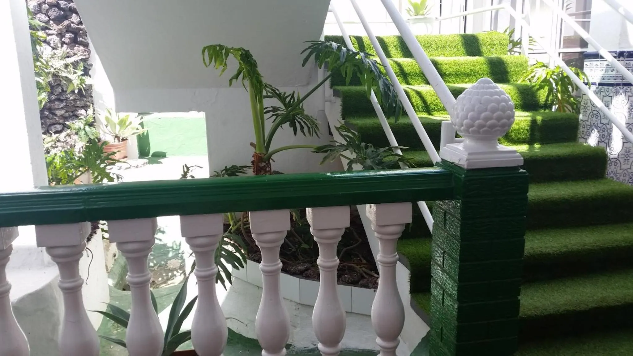 Garden view in Vista Oasis