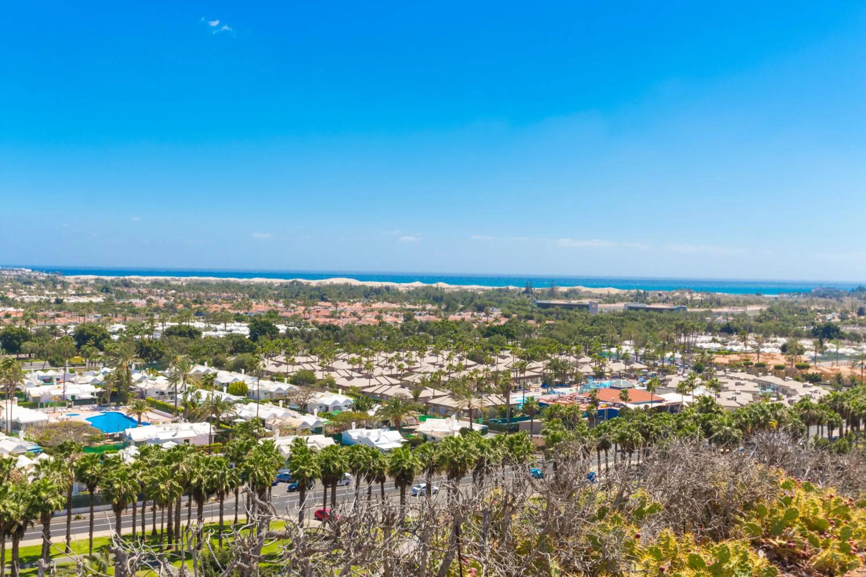 Bird's eye view in Vista Oasis