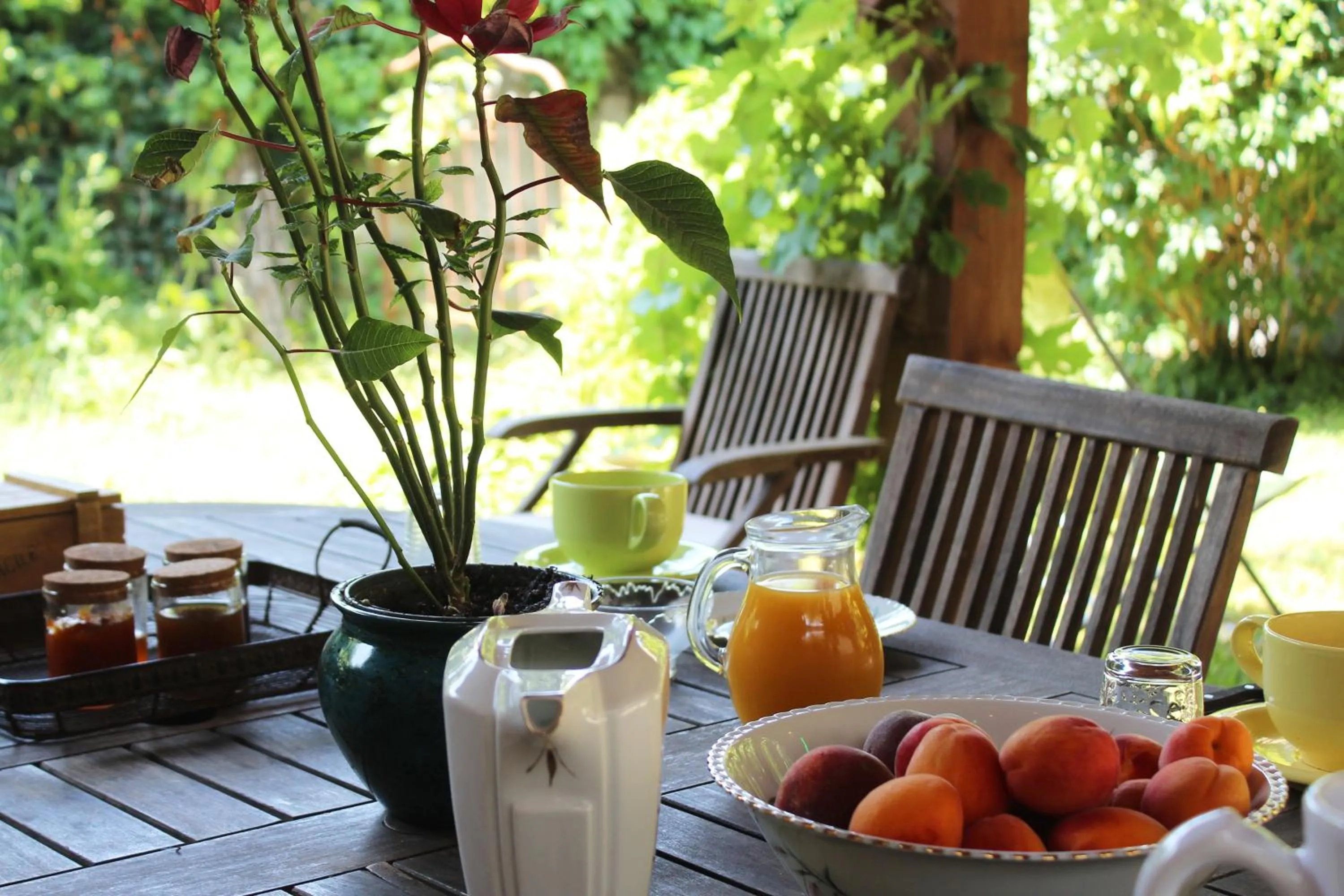 Patio in Les Pascals