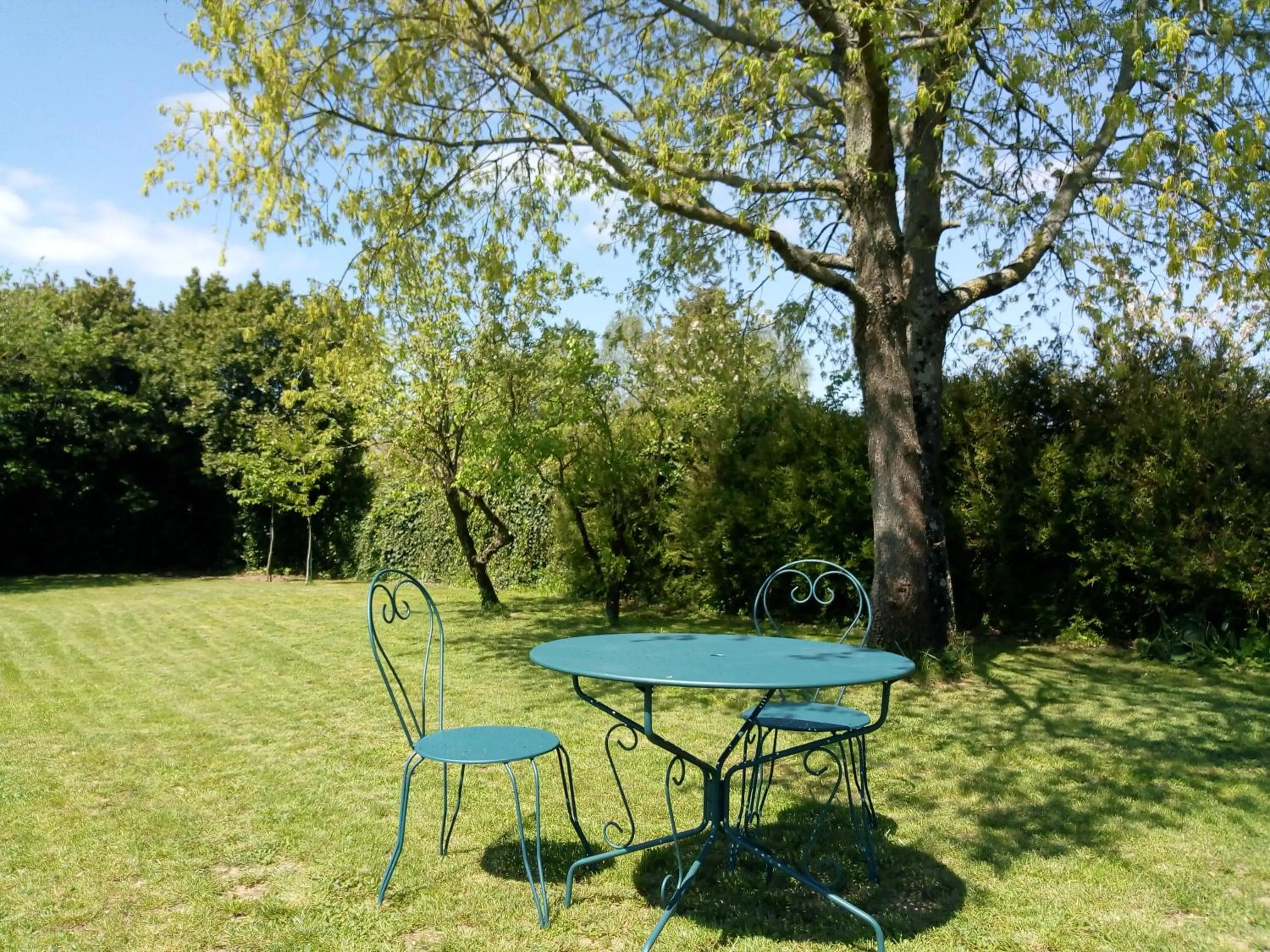 Garden in La maison de Thiré