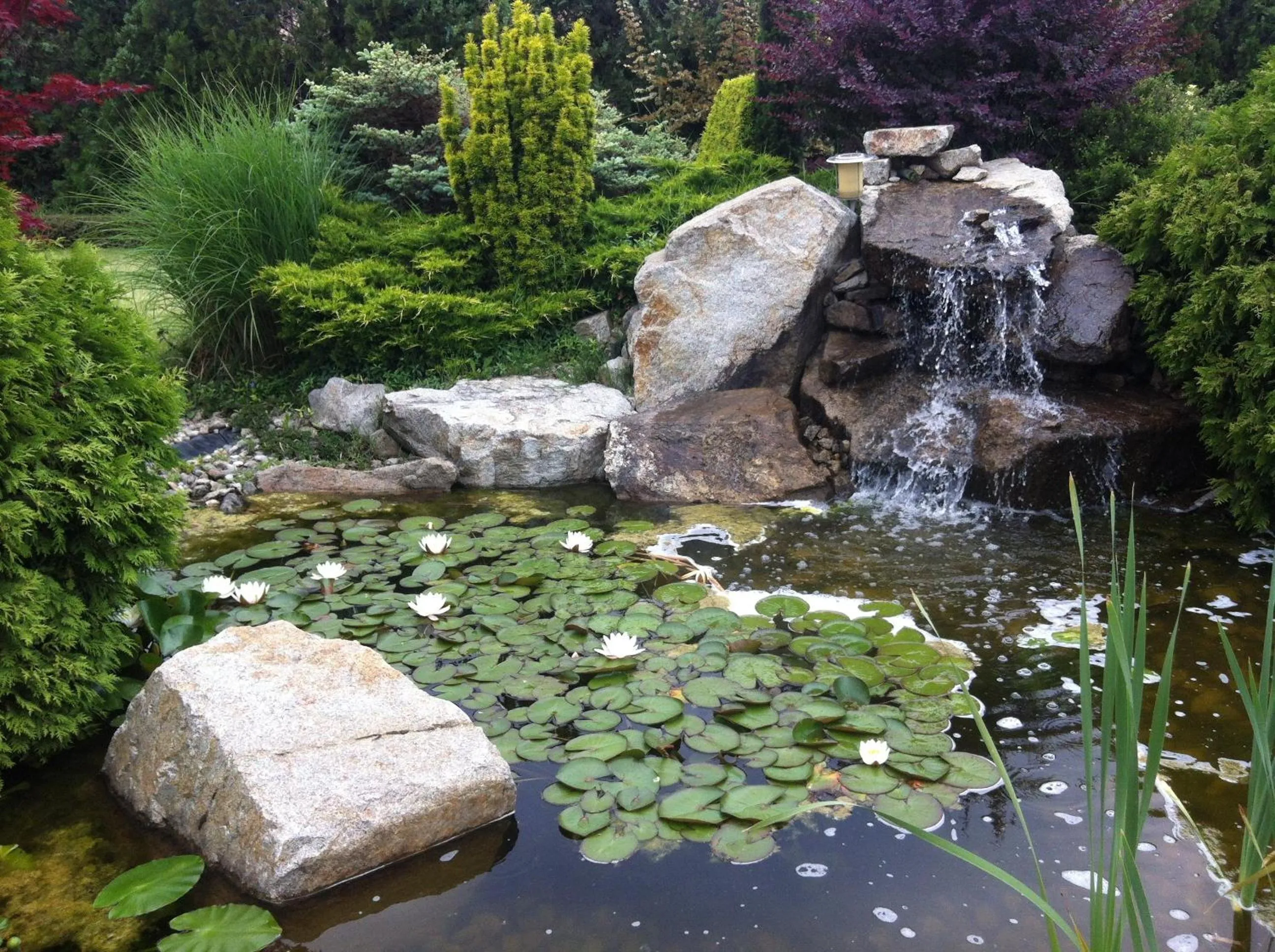 Natural landscape in Hotel Remy