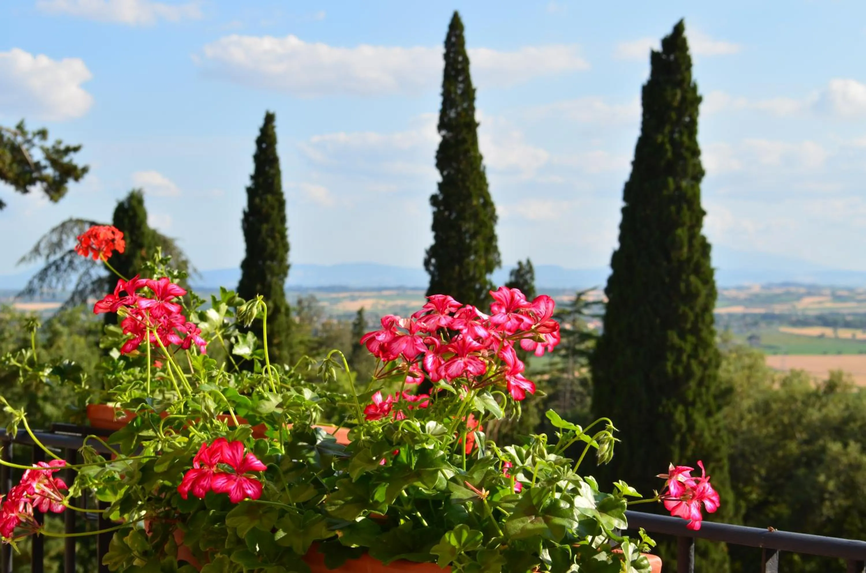 Landmark view in Villa Schiatti