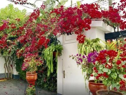 Day in Casa Bella Boutique Hotel San Isidro