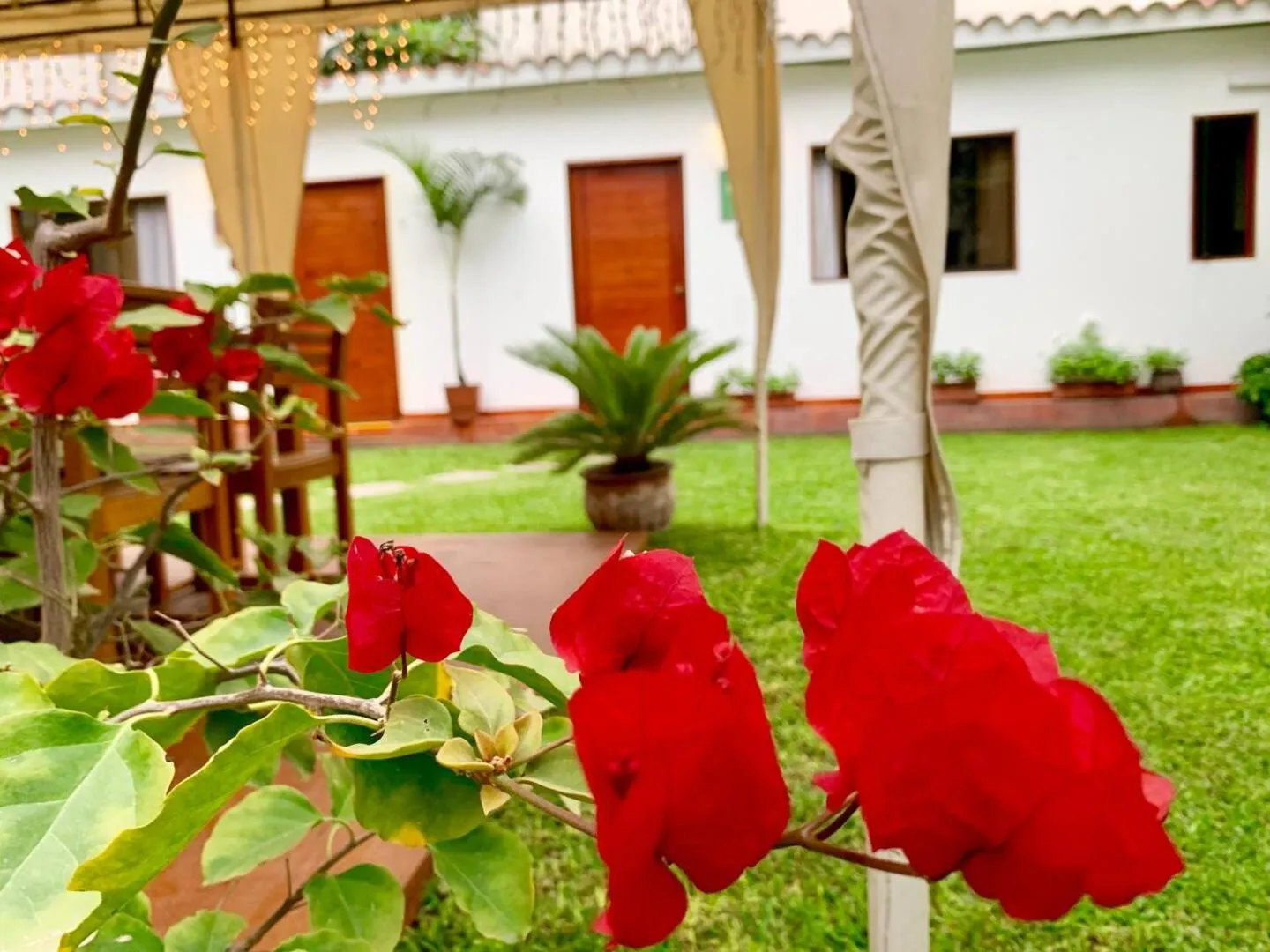Spring in Casa Bella Boutique Hotel San Isidro