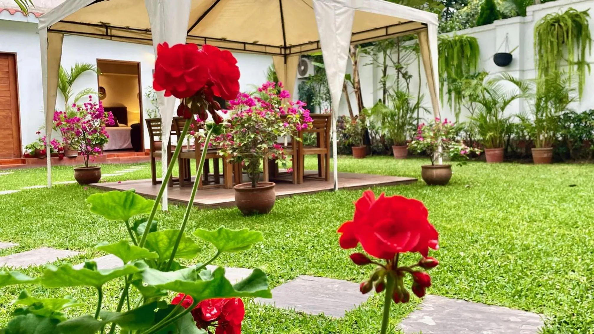 Garden in Casa Bella Boutique Hotel San Isidro